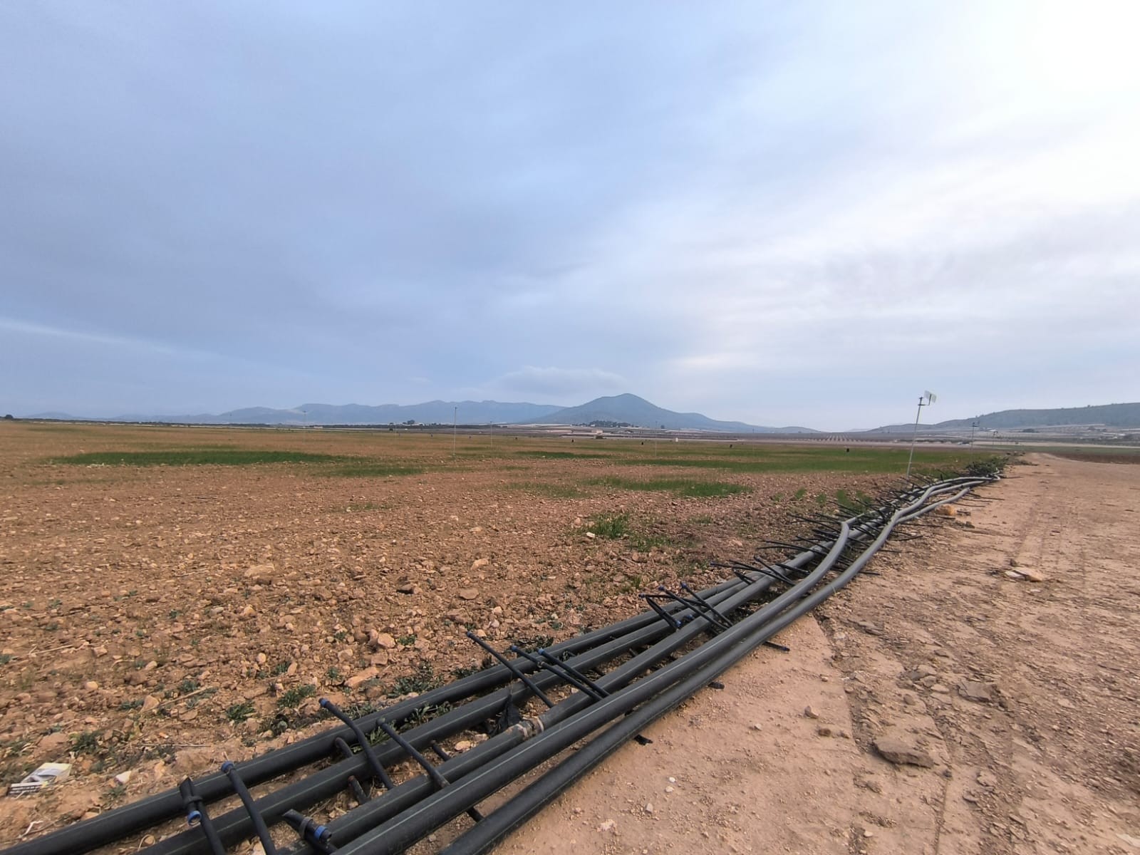 Looking for an agricultural investment in smaller or larger scale