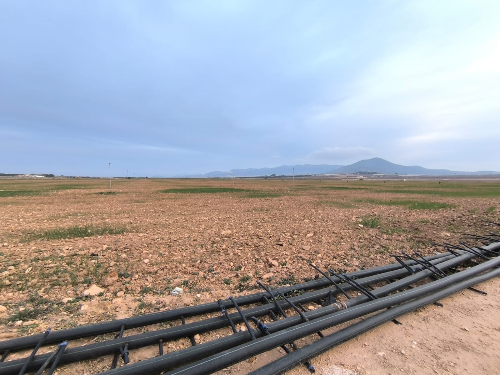Looking for an agricultural investment in smaller or larger scale
