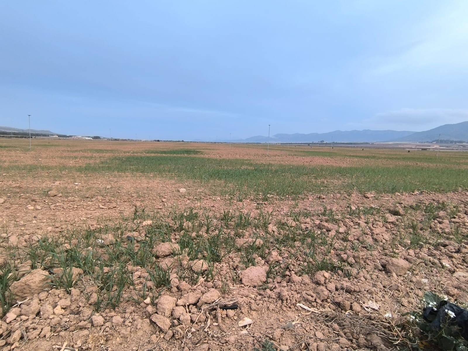 Looking for an agricultural investment in smaller or larger scale