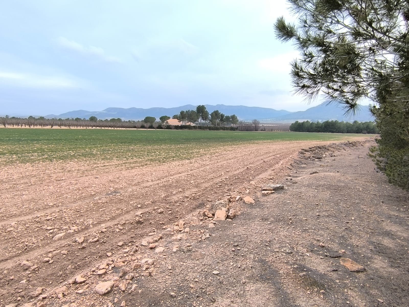 Looking for agricultural investment