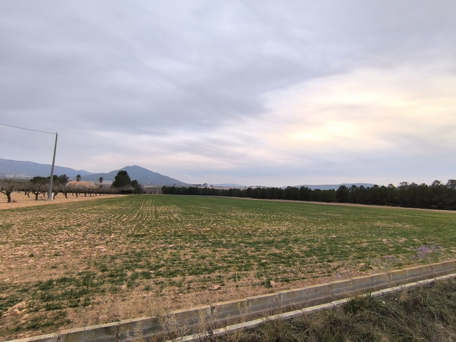 Looking for agricultural investment