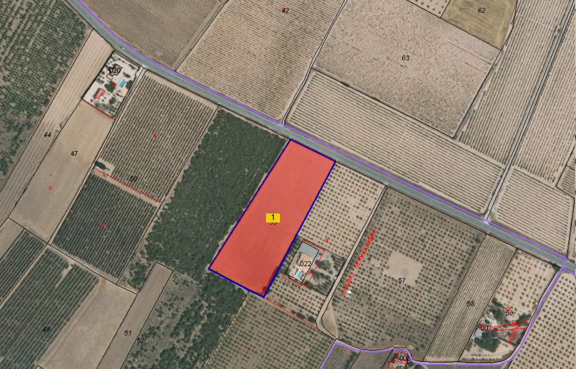 Looking for agricultural investment