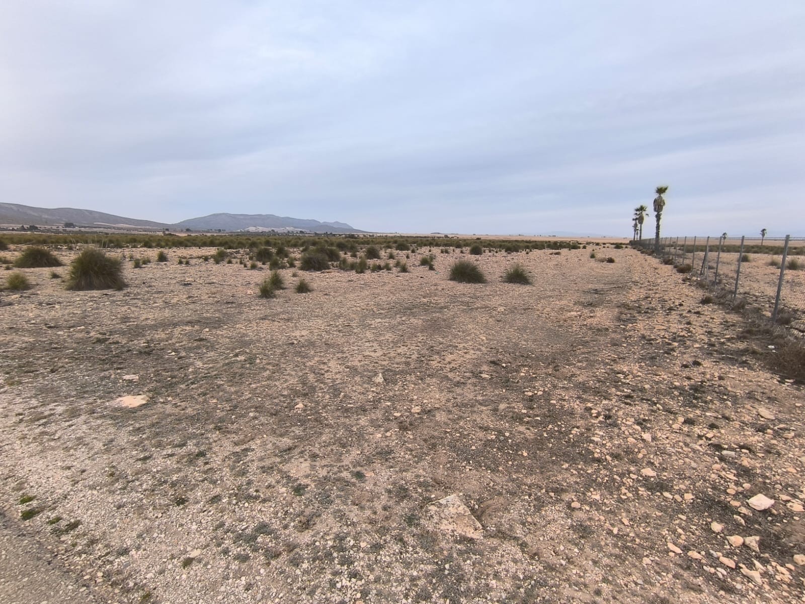 Terrace in land for sale in Yecla