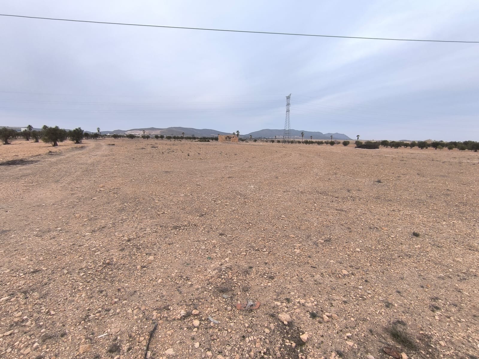 Pool area in land for sale in Yecla