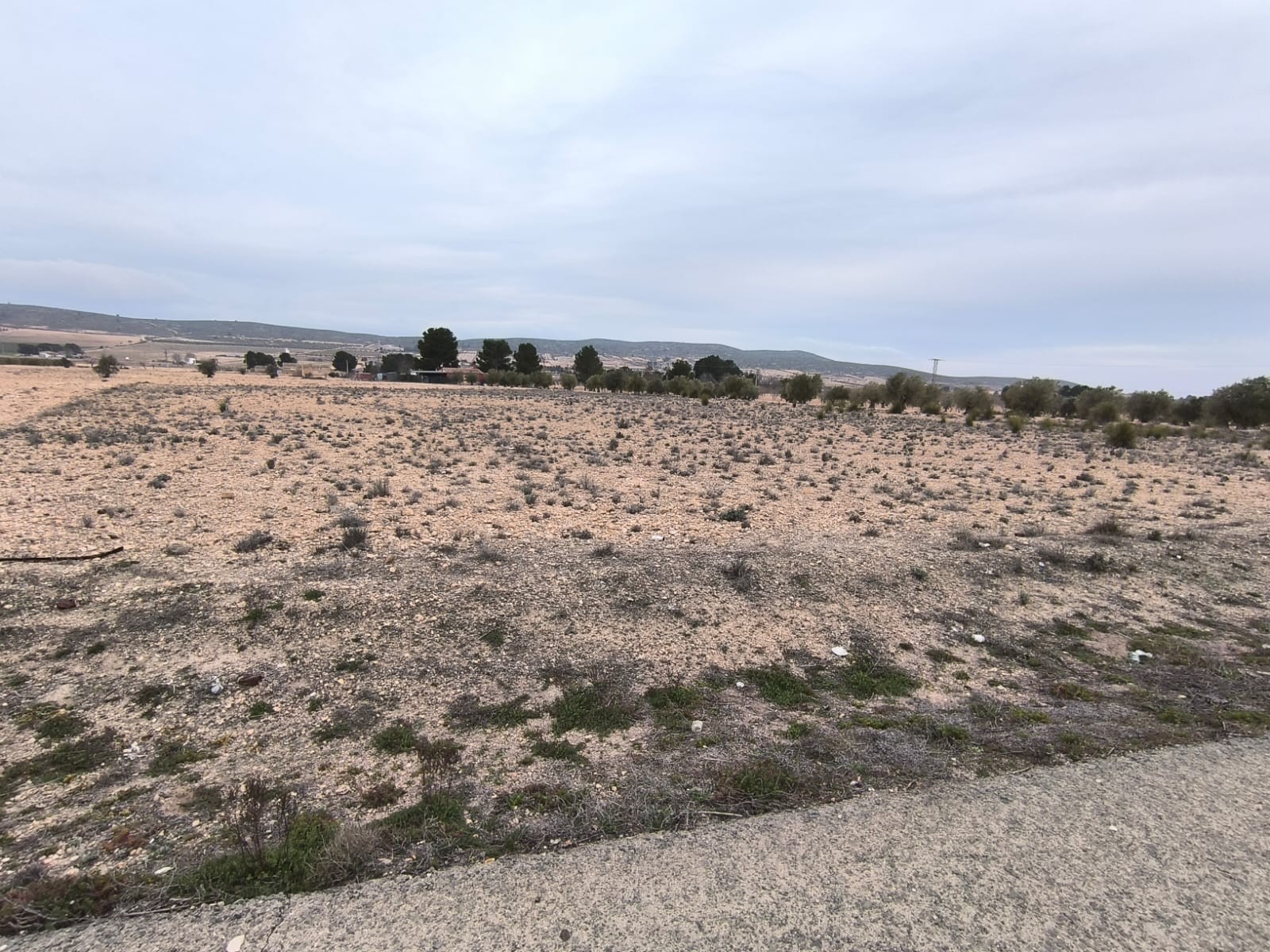 Garden in land for sale in Yecla