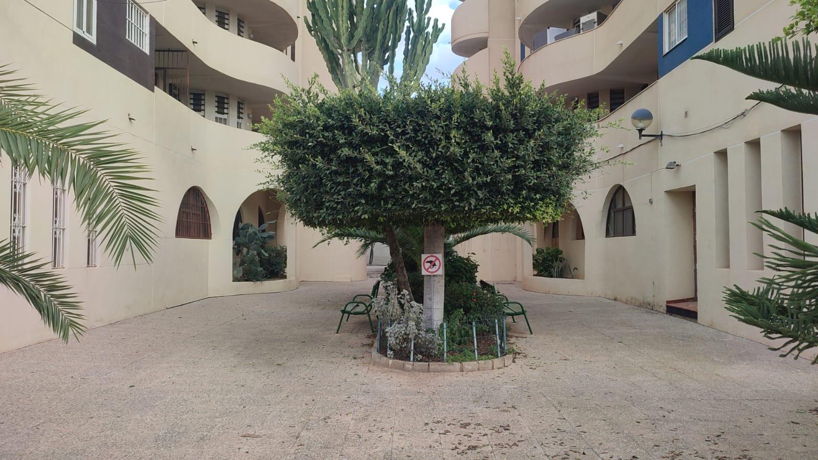 For sale this spacious apartment located in one of the best urbanizations in Torrevieja, Mar Azul