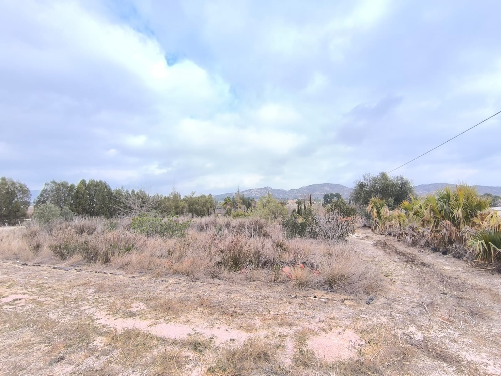 Terrace in commercial for sale in Aspe