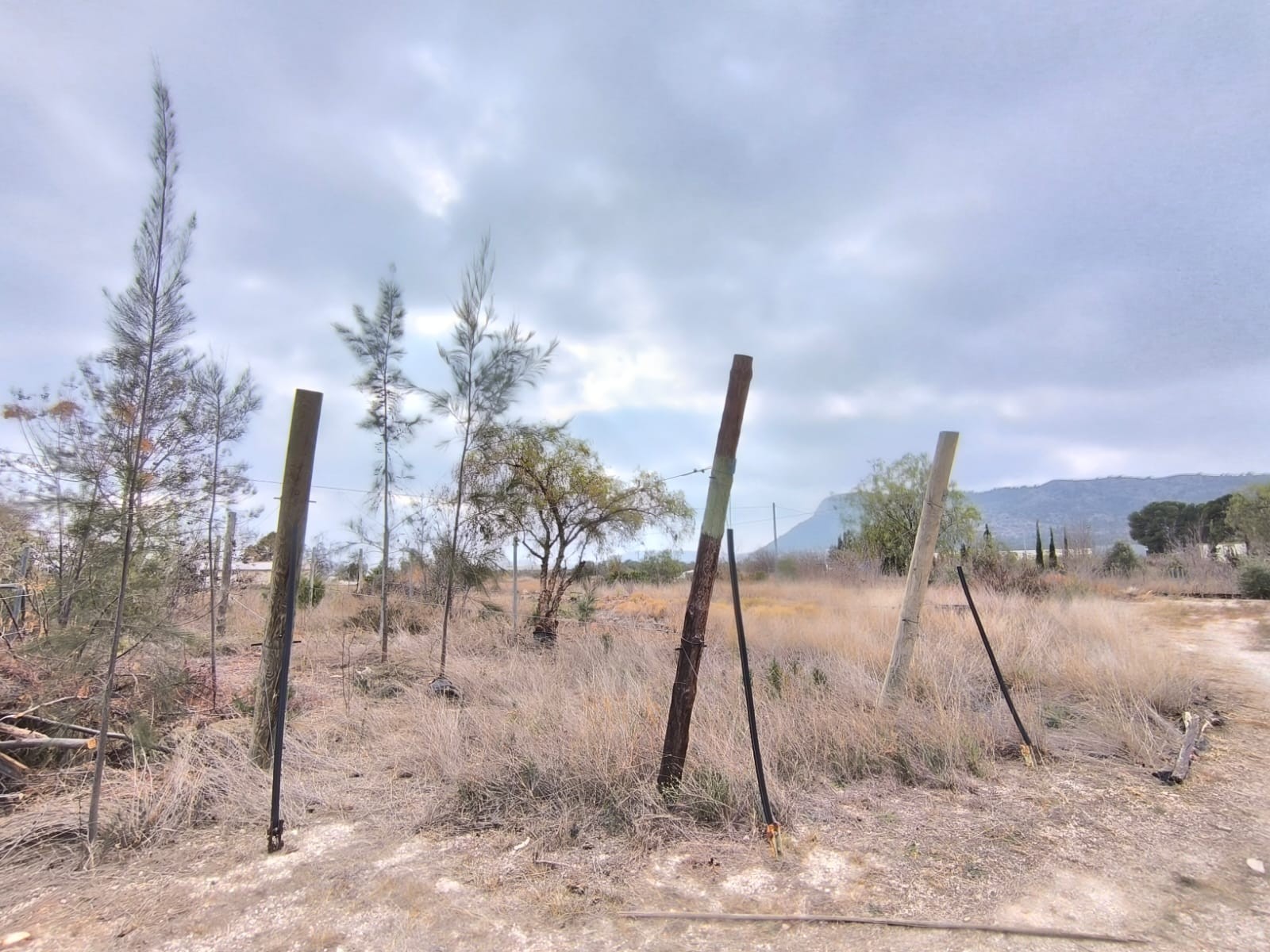 Garden in commercial for sale in Aspe
