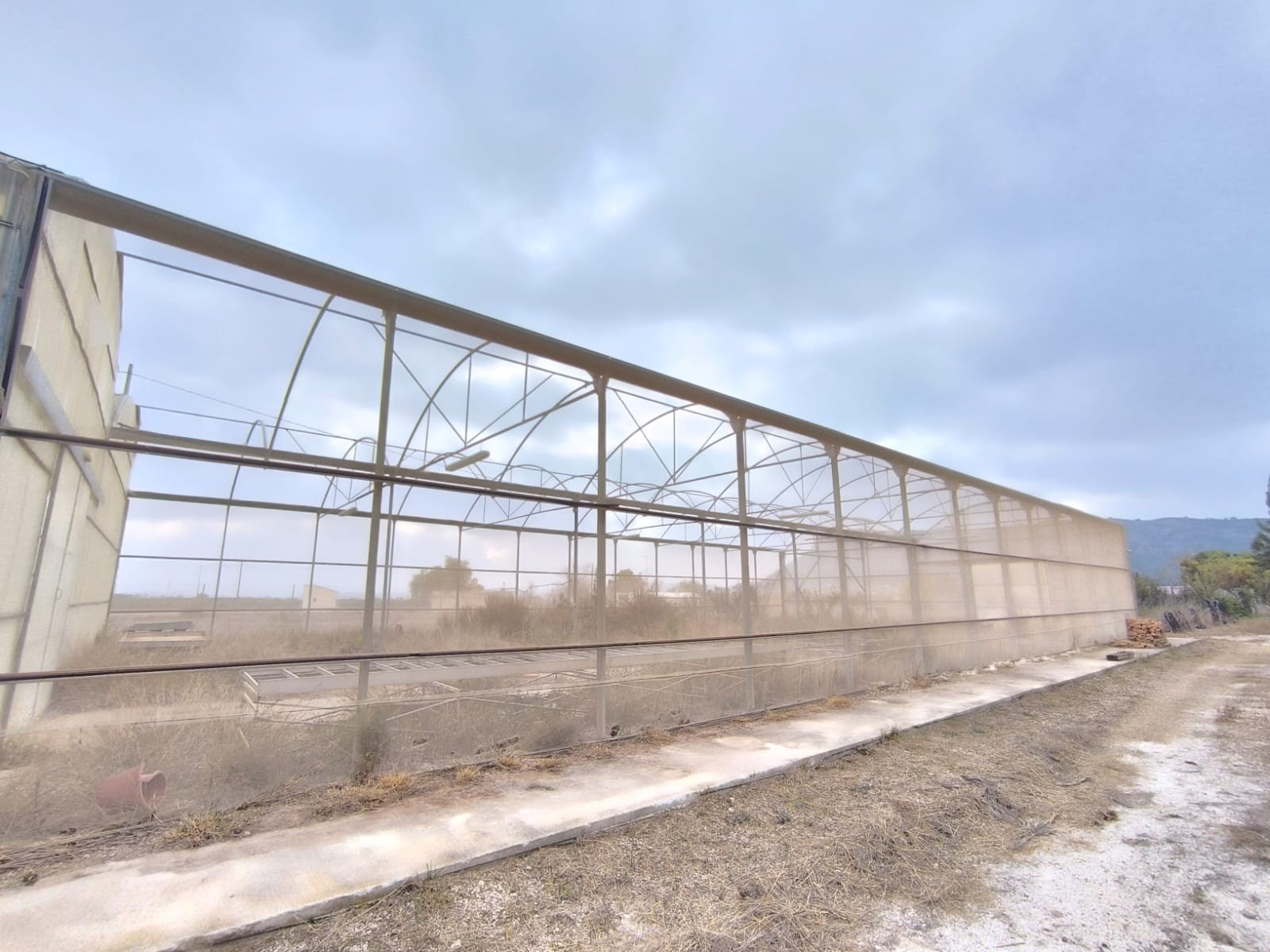 Garden in commercial for sale in Aspe