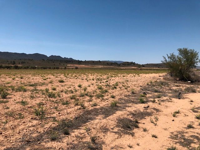 Spacious 25,704 m² plot located near the A-33 Yecla-Jumilla Altiplano motorway, offering easy access