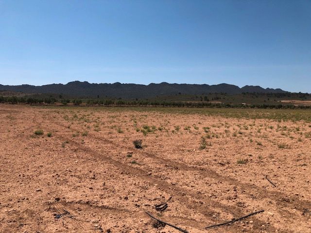 Spacious 25,704 m² plot located near the A-33 Yecla-Jumilla Altiplano motorway, offering easy access