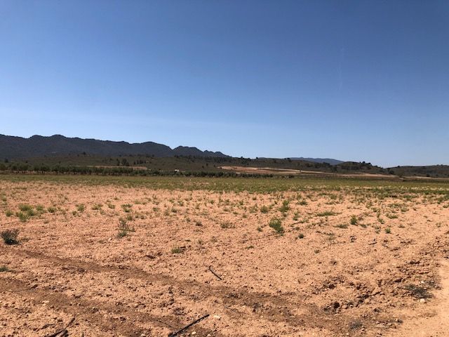 Spacious 25,704 m² plot located near the A-33 Yecla-Jumilla Altiplano motorway, offering easy access