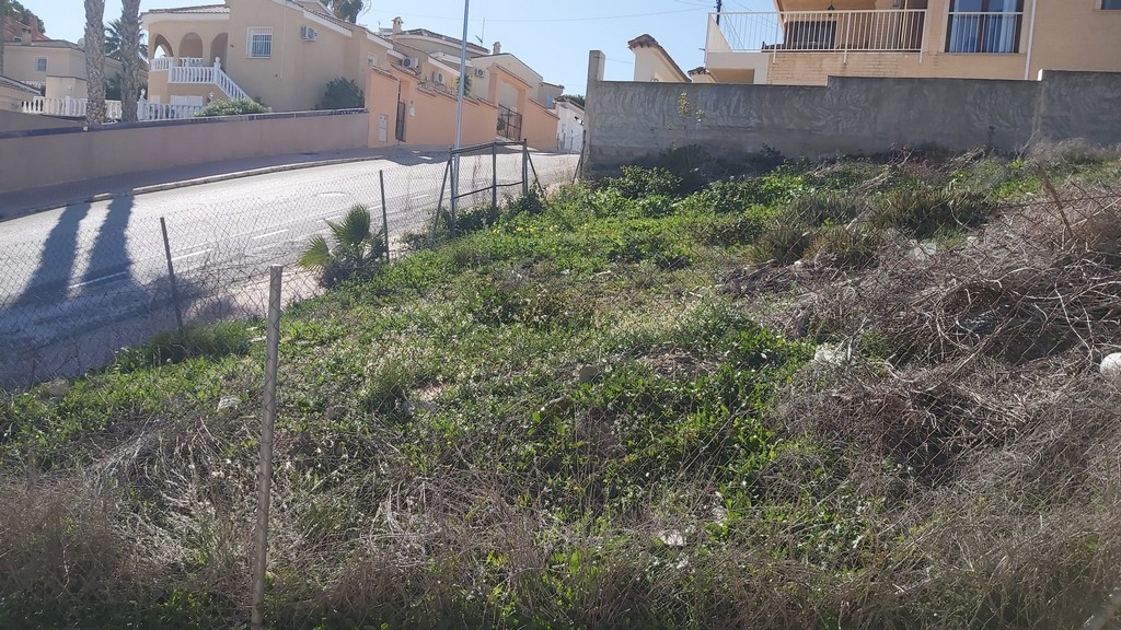 Garden in land for sale in Ciudad Quesada