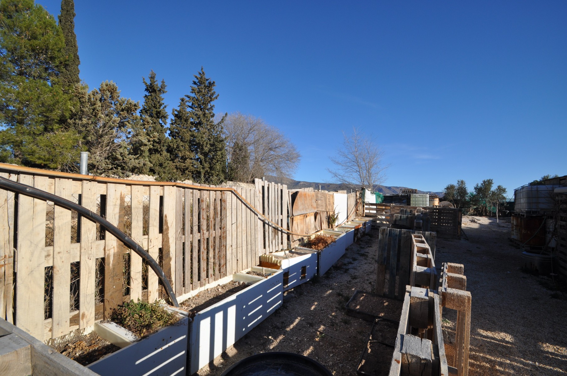 Terrace in land for sale in Pinoso