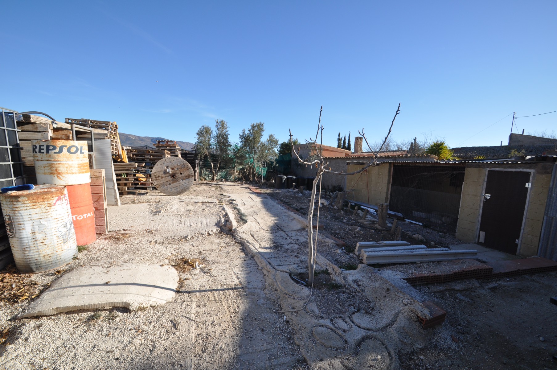 Garden in land for sale in Pinoso