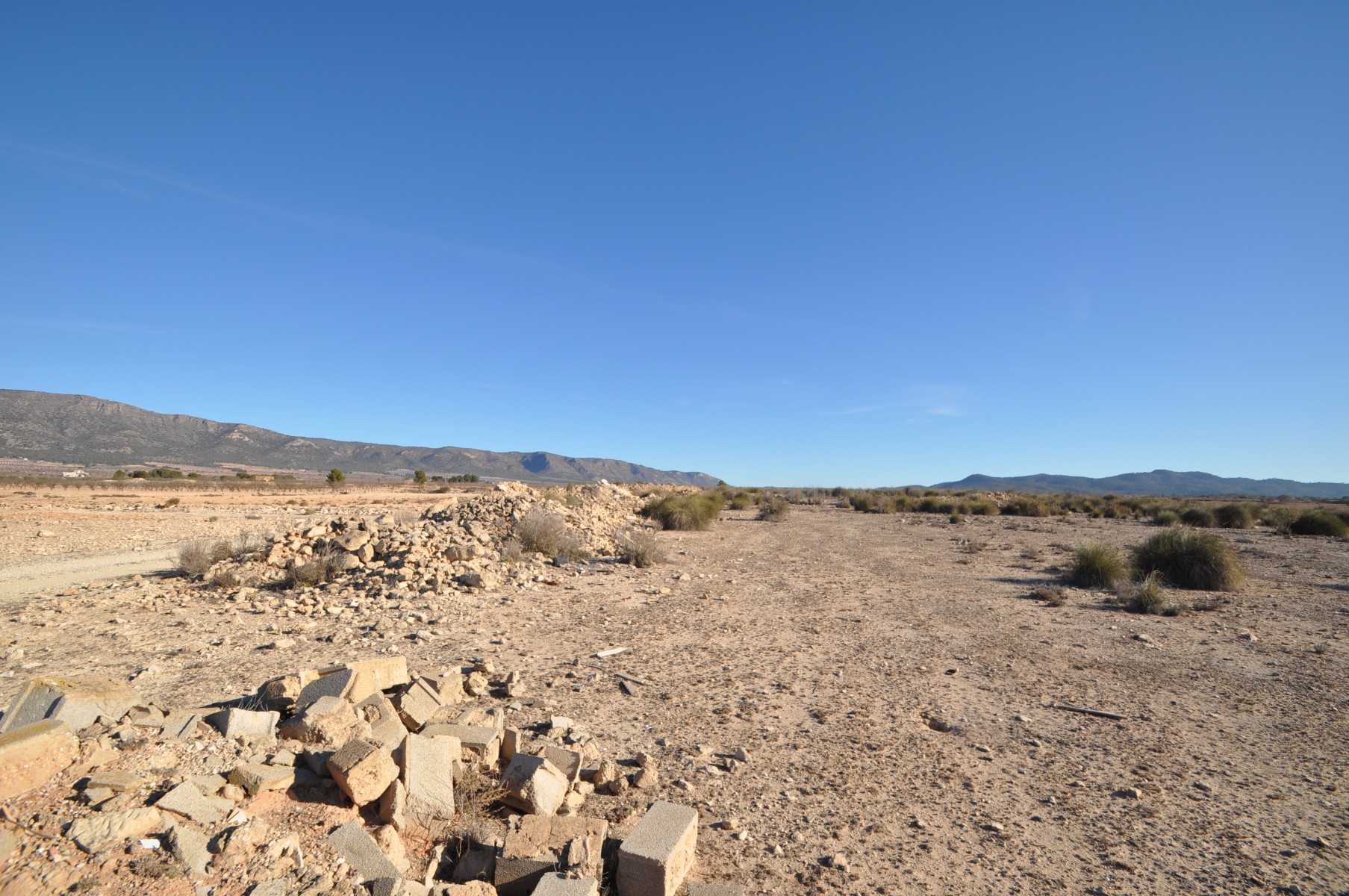 Exterior view in land for sale in Pinoso