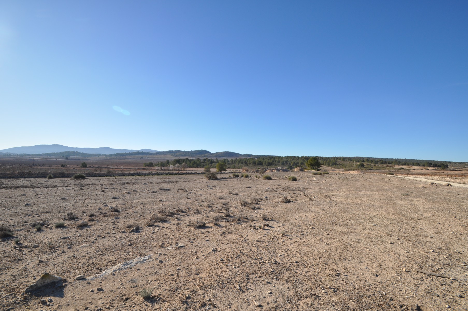 Living room in land for sale in Pinoso