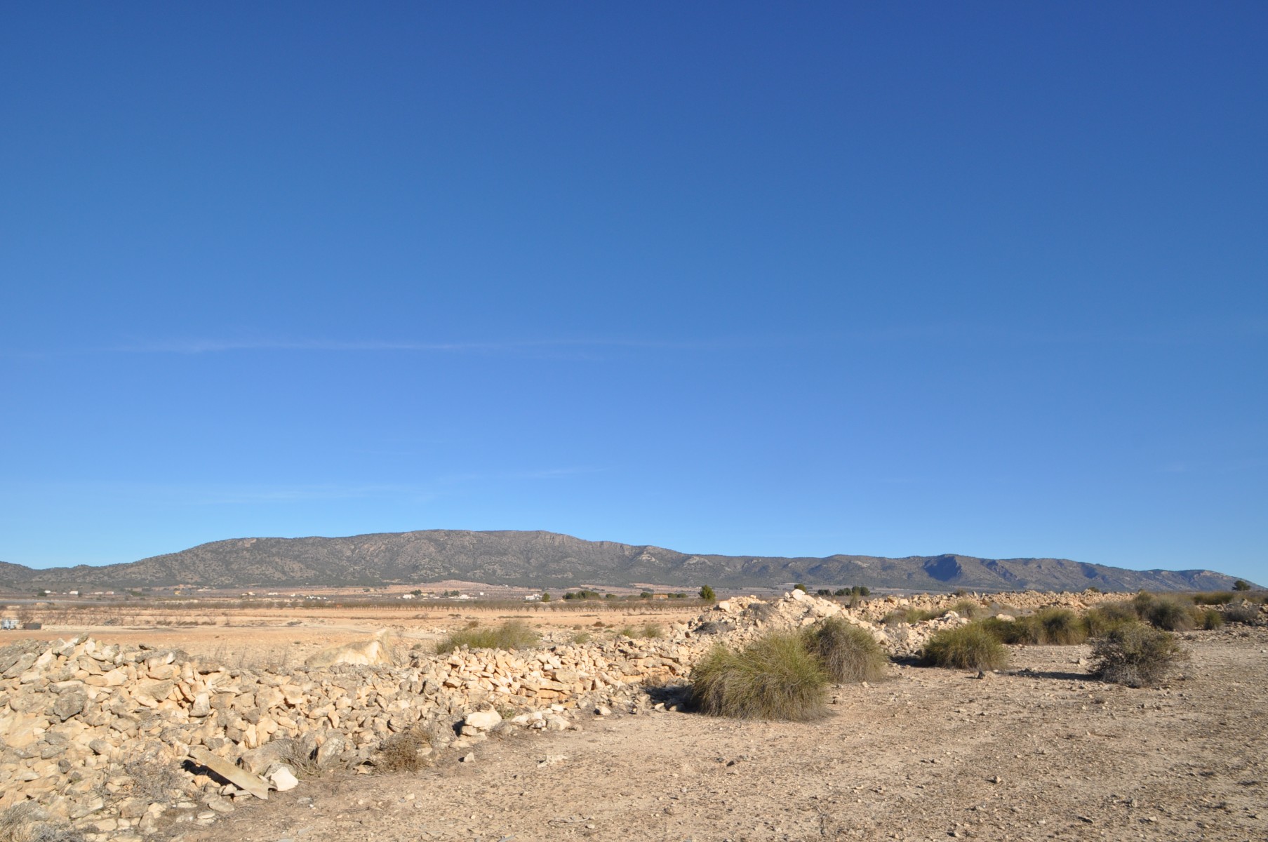 Bathroom in land for sale in Pinoso
