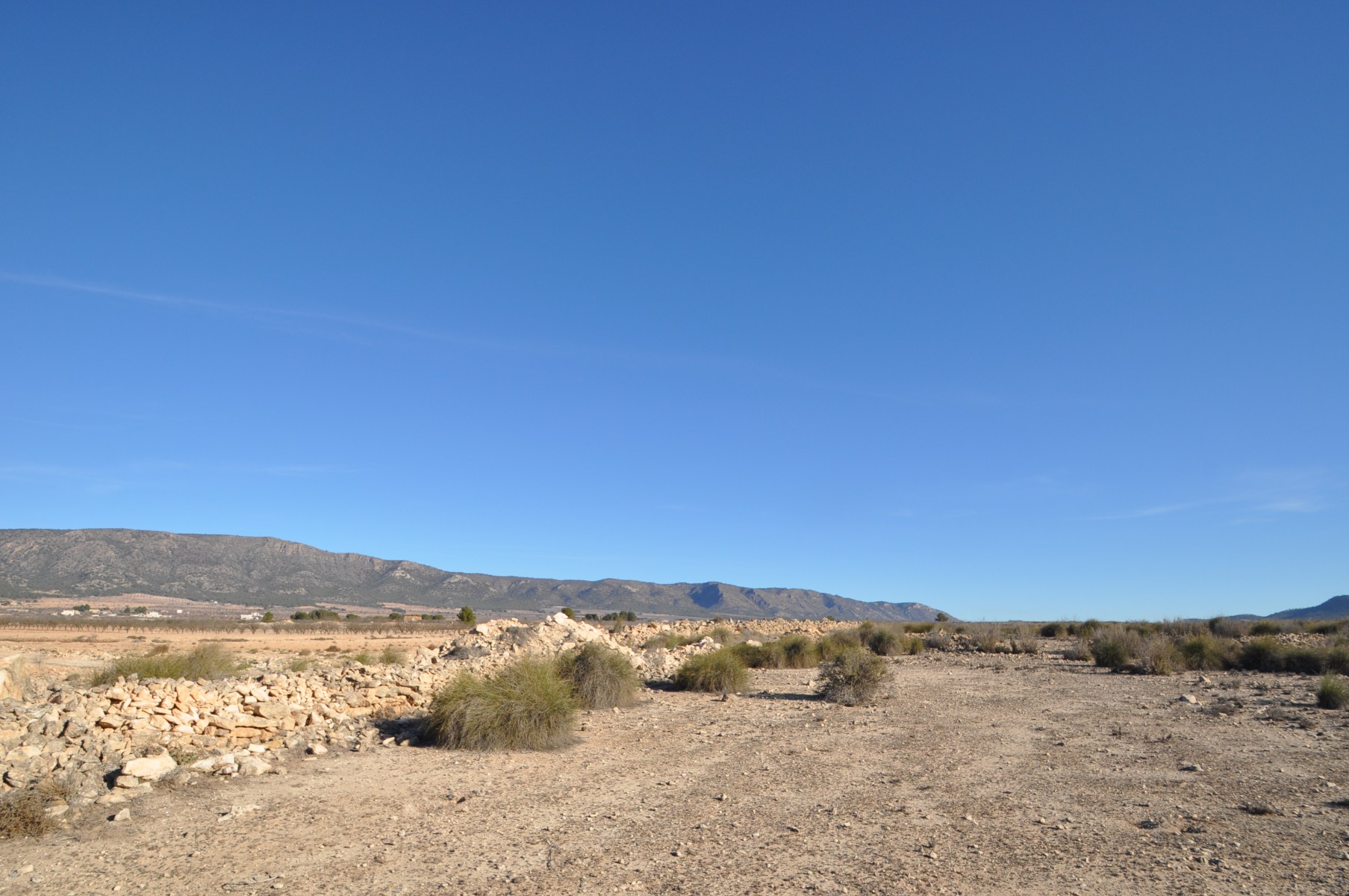 Terrace in land for sale in Pinoso