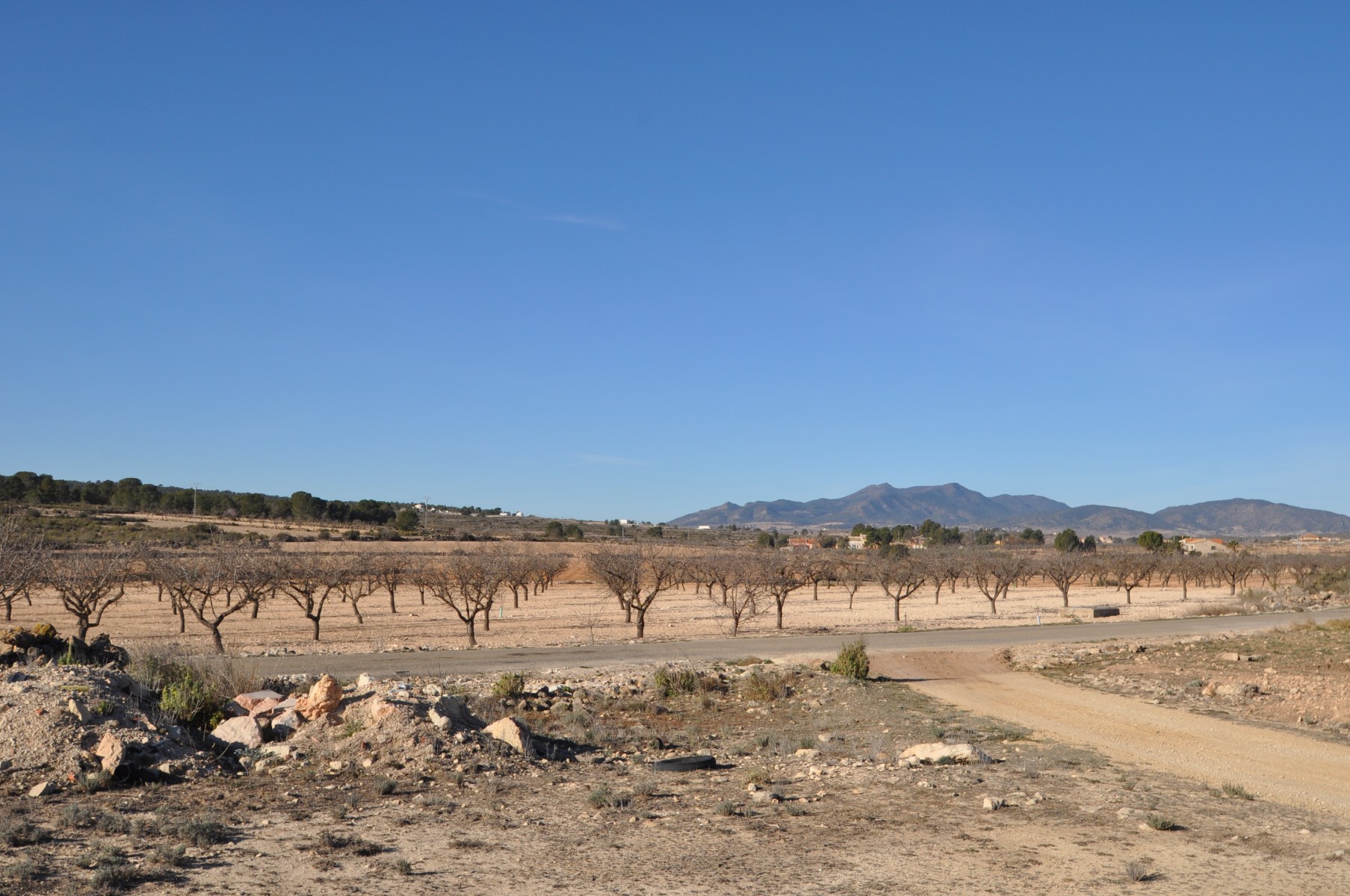 Terrace in land for sale in Pinoso