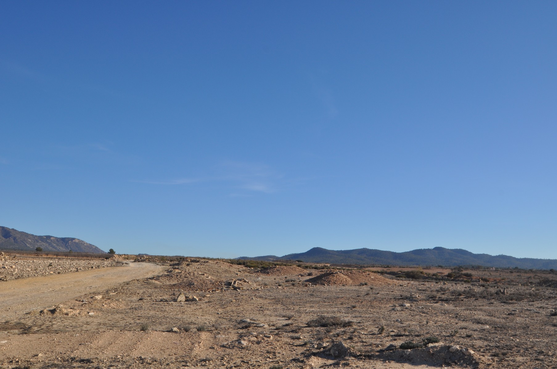 Garden in land for sale in Pinoso