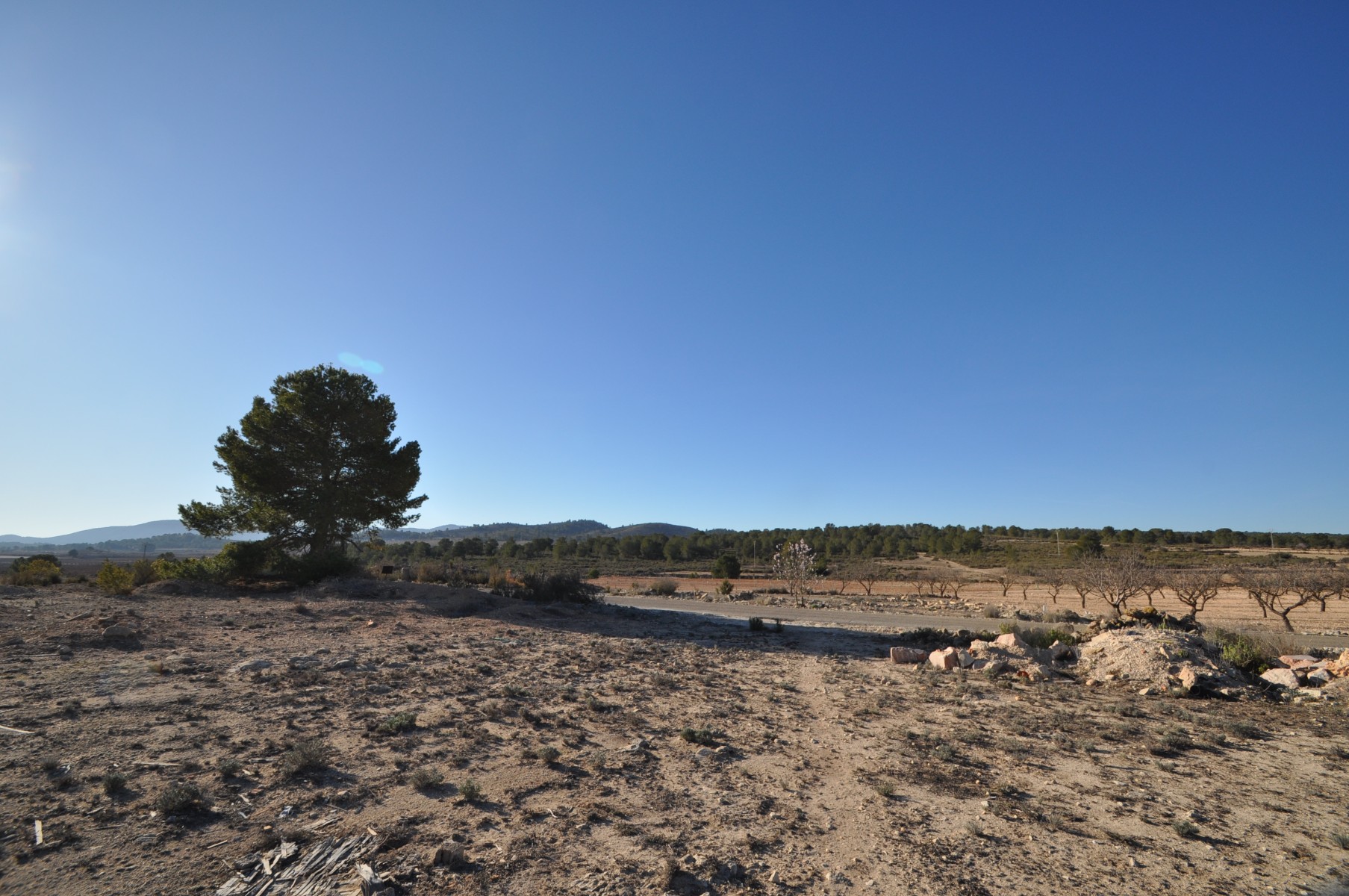 Dining area in land for sale in Pinoso