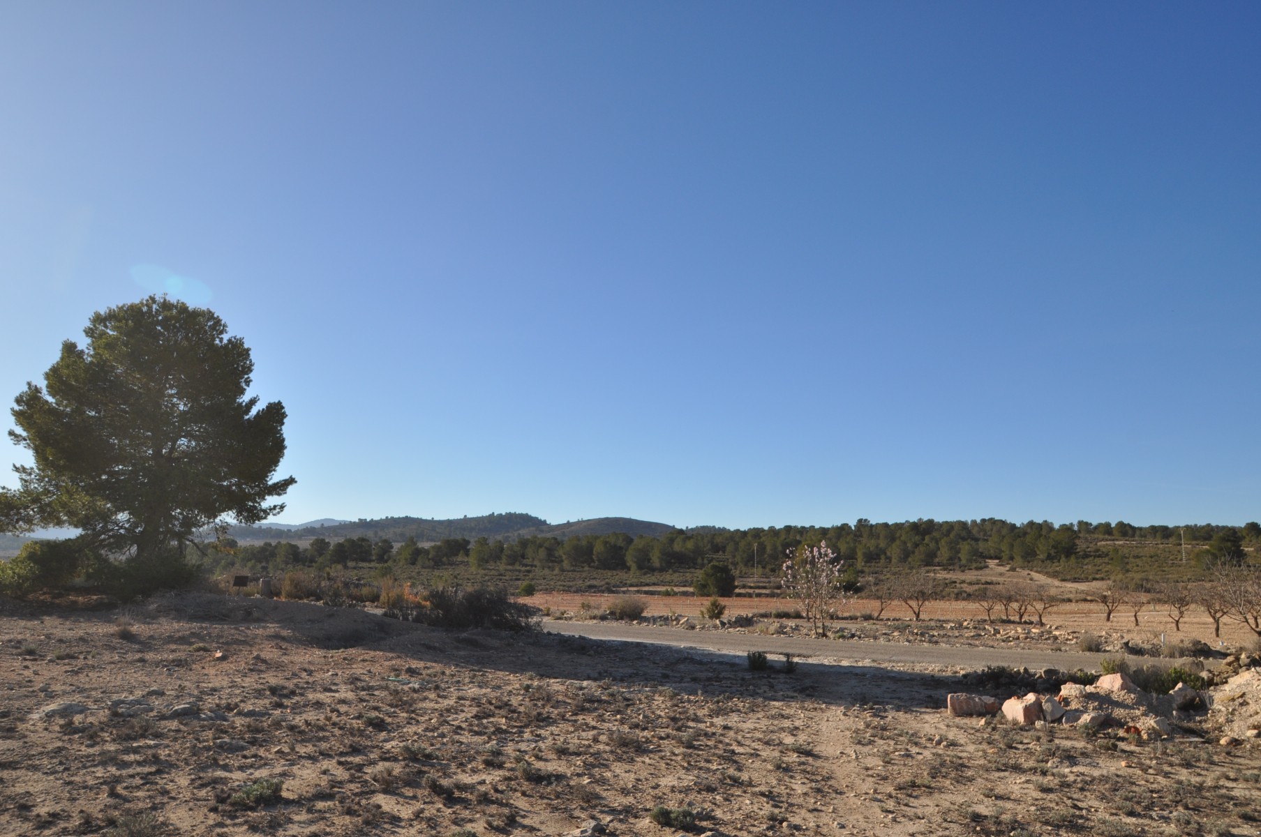 Bedroom in land for sale in Pinoso