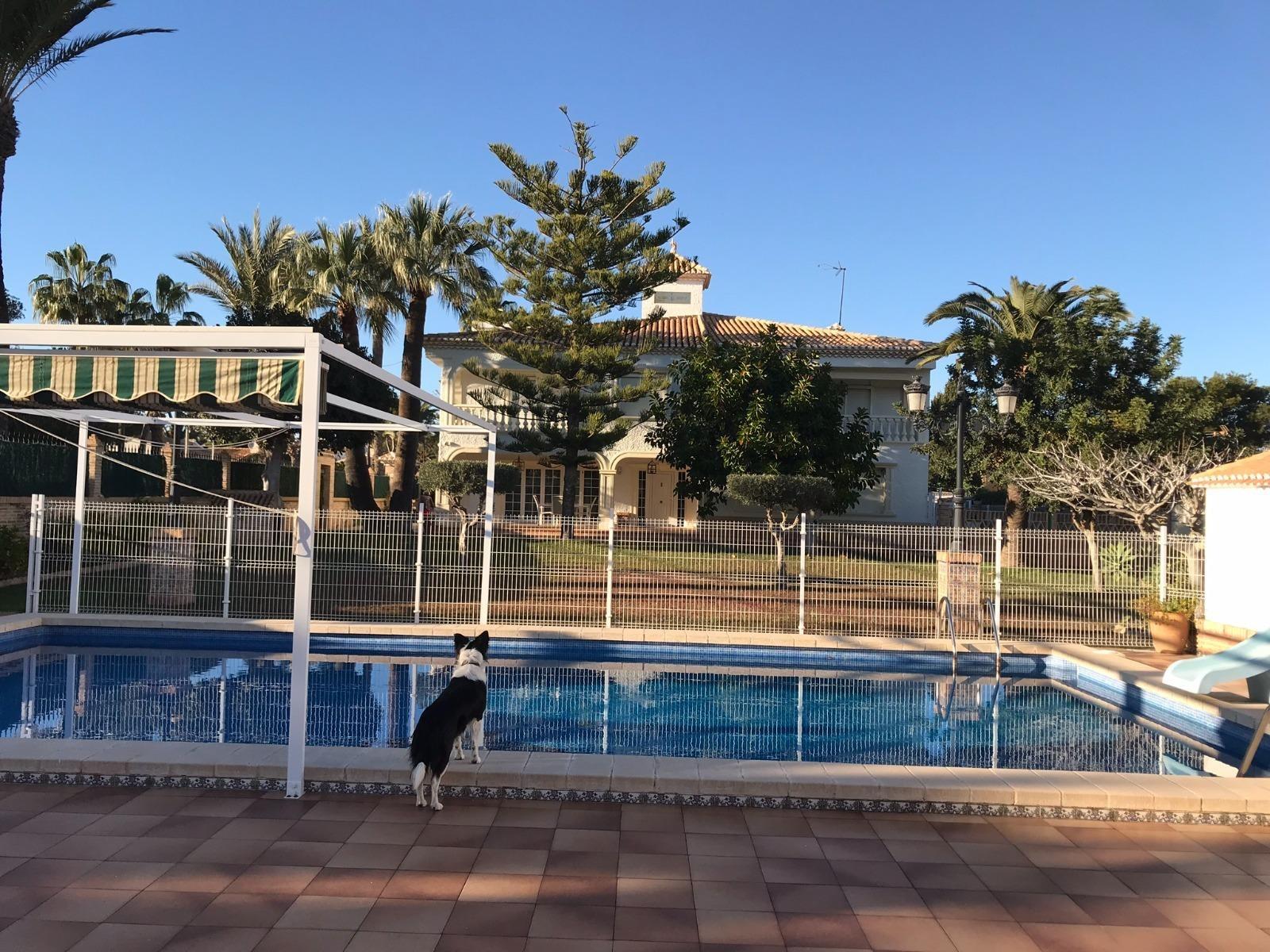Happy to present this luxury villa located in a prestigious area of Cabo Roig, in Orihuela Costa and