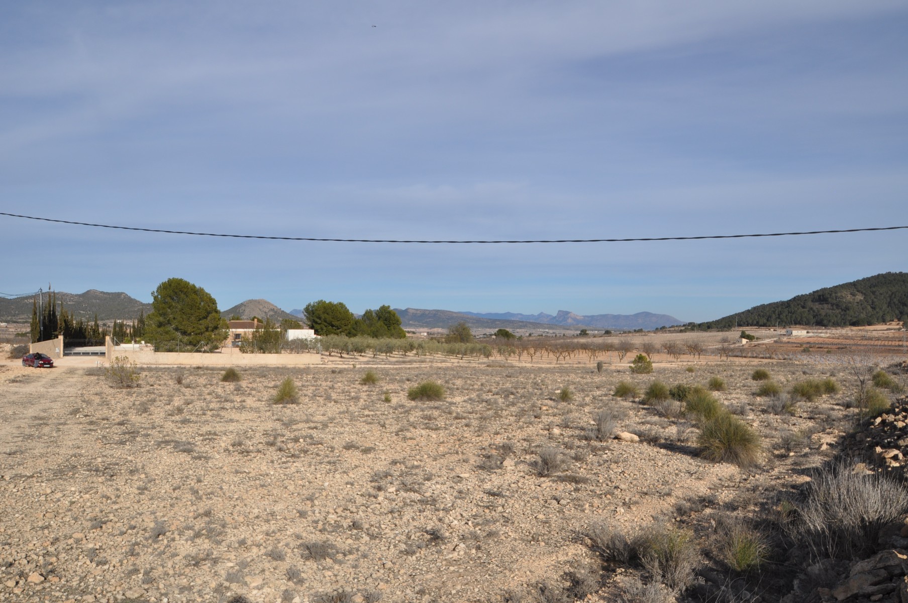 Terrace in land for sale in Pinoso