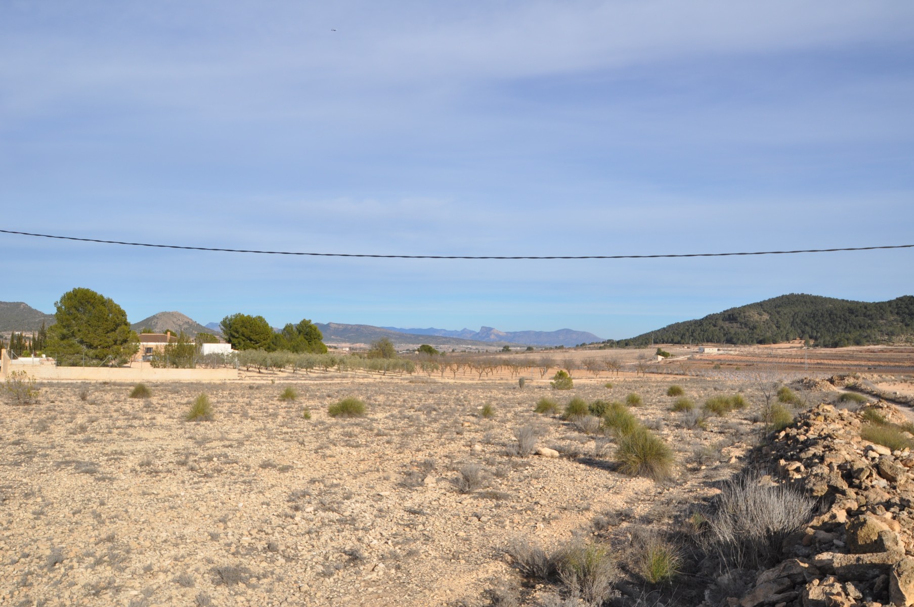 Pool area in land for sale in Pinoso