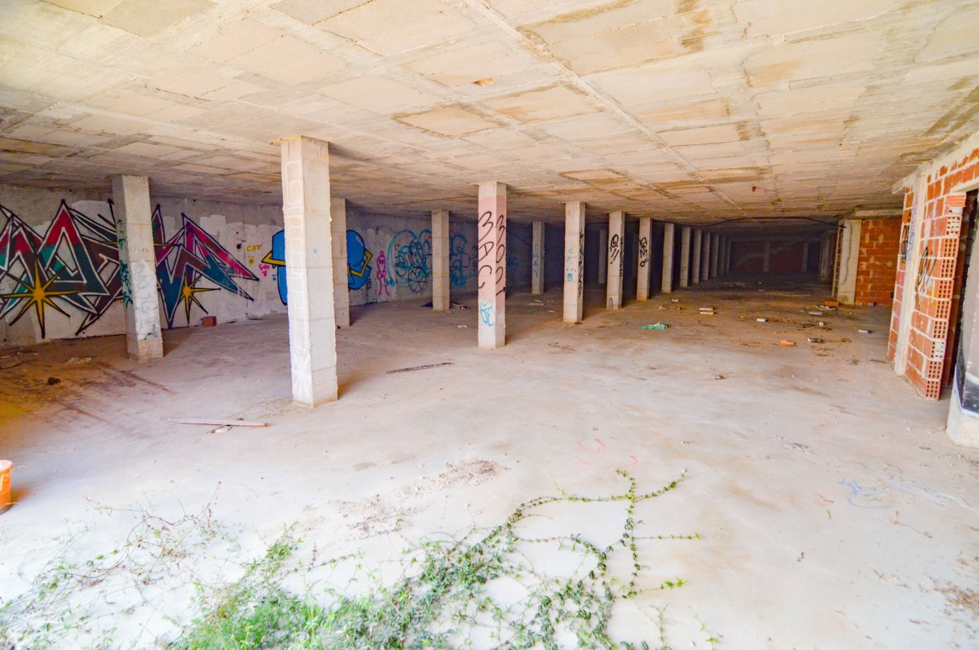 Garden in land for sale in Guardamar del Segura