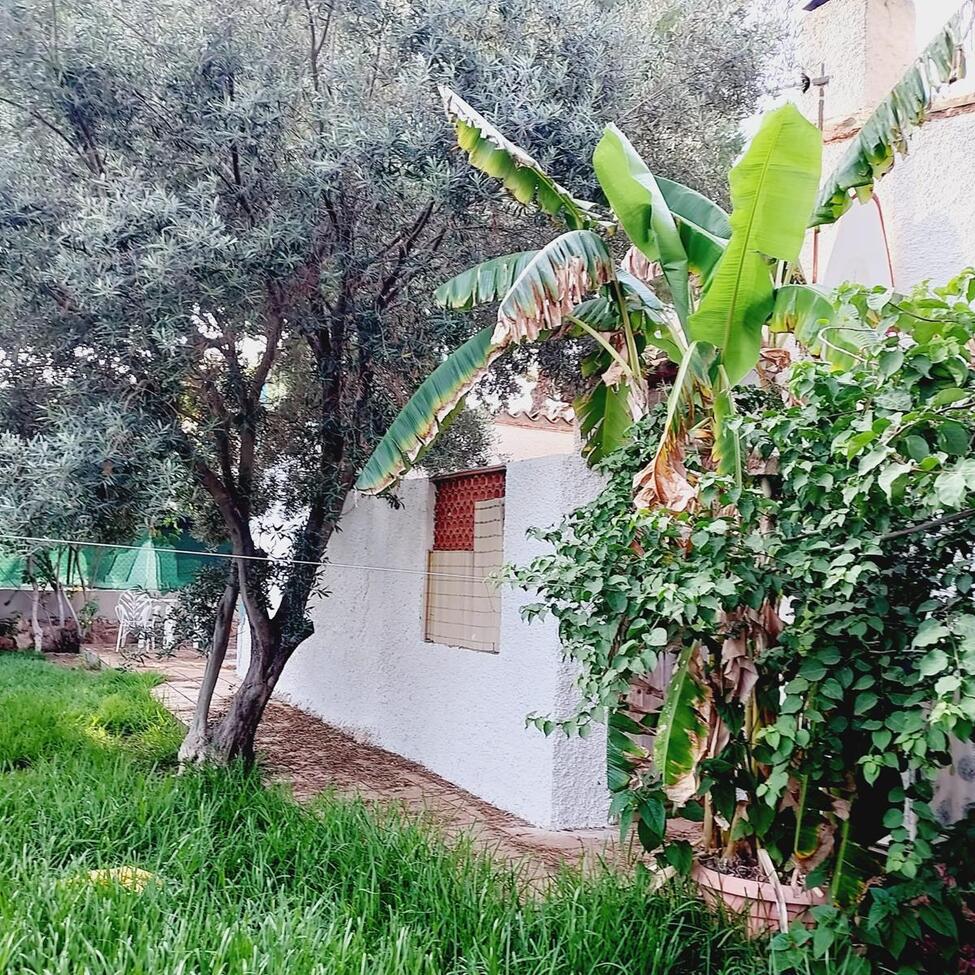 Exterior view in villa for sale in Orihuela Costa