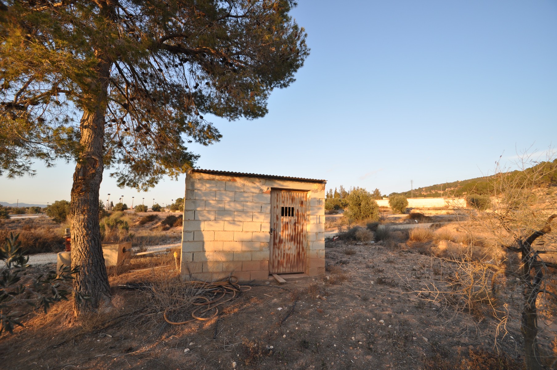 Garden in land for sale in Pinoso