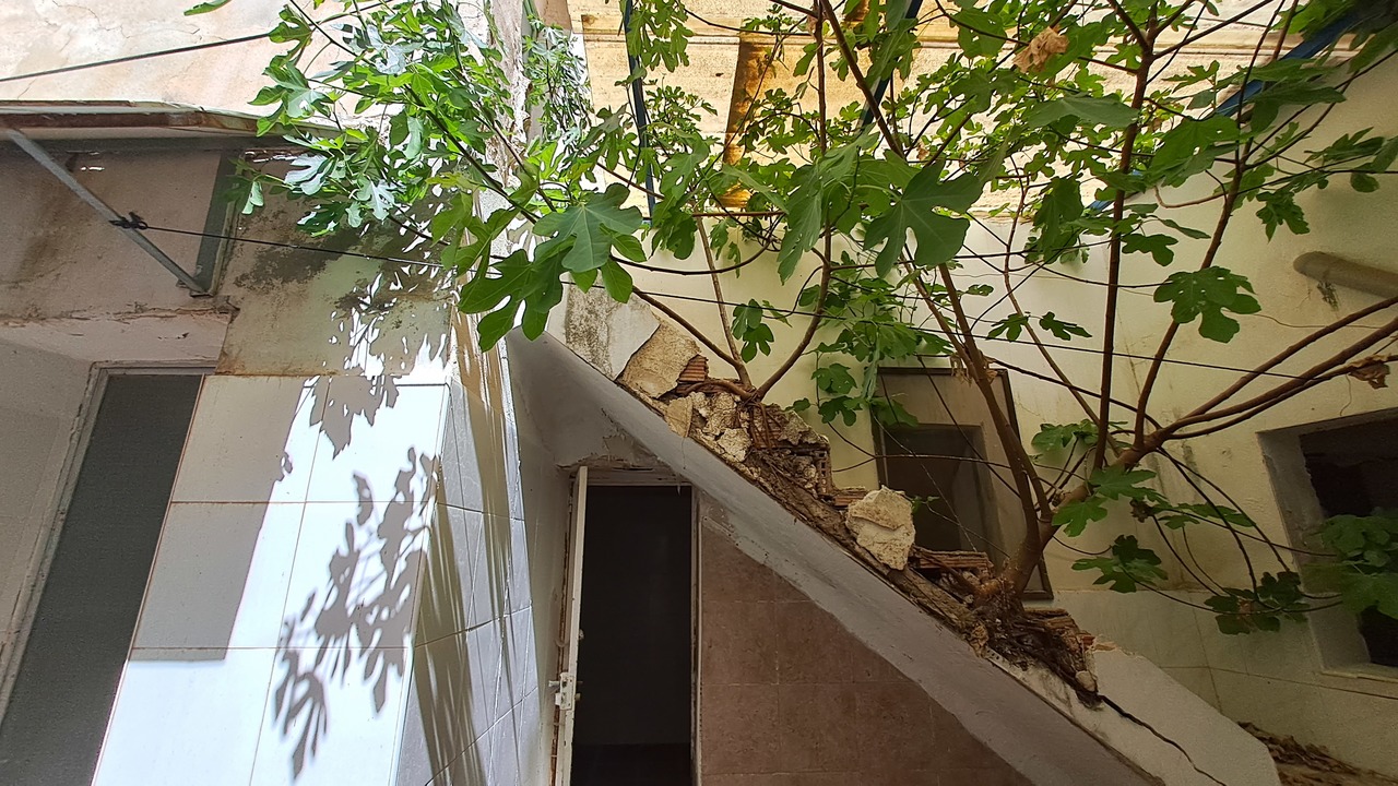 Dining area in commercial for sale in Orihuela