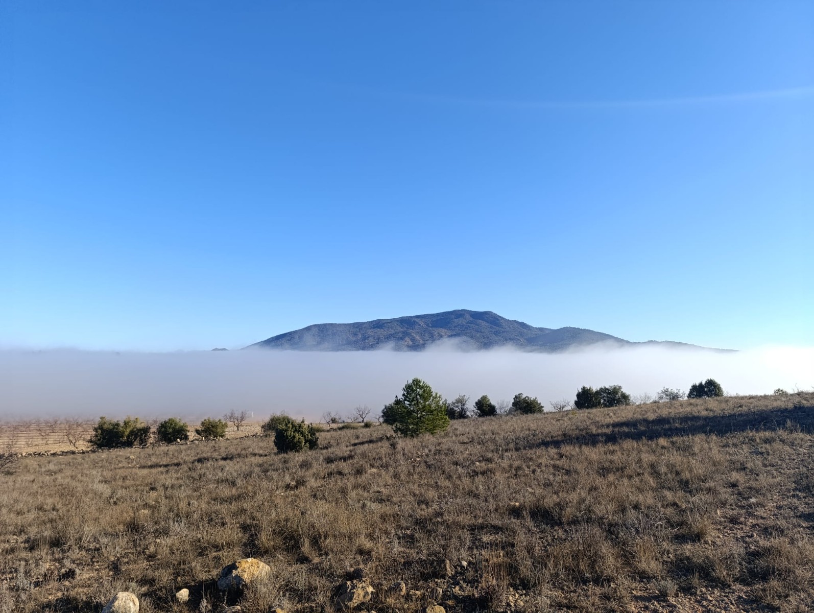 This expansive 9,197m² plot is located in the stunning La Sierra del Carche area, offering breathtak