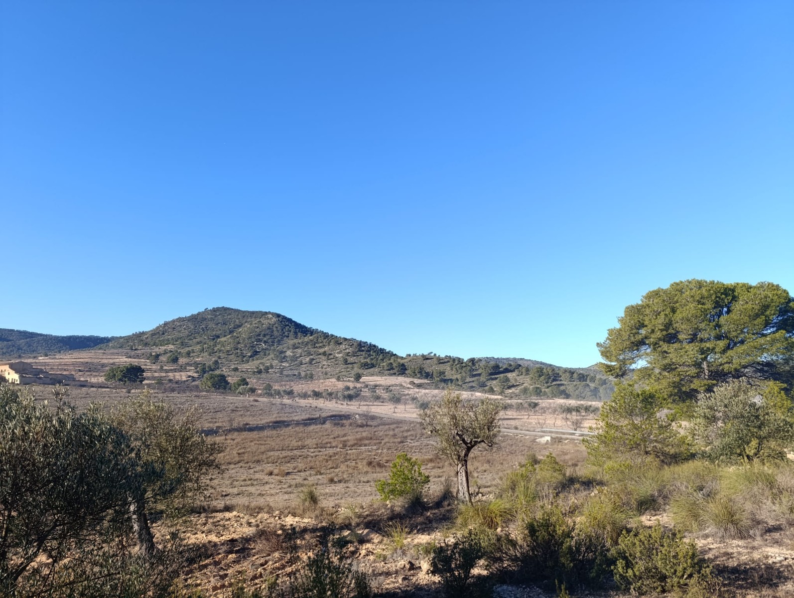 This expansive 9,197m² plot is located in the stunning La Sierra del Carche area, offering breathtak