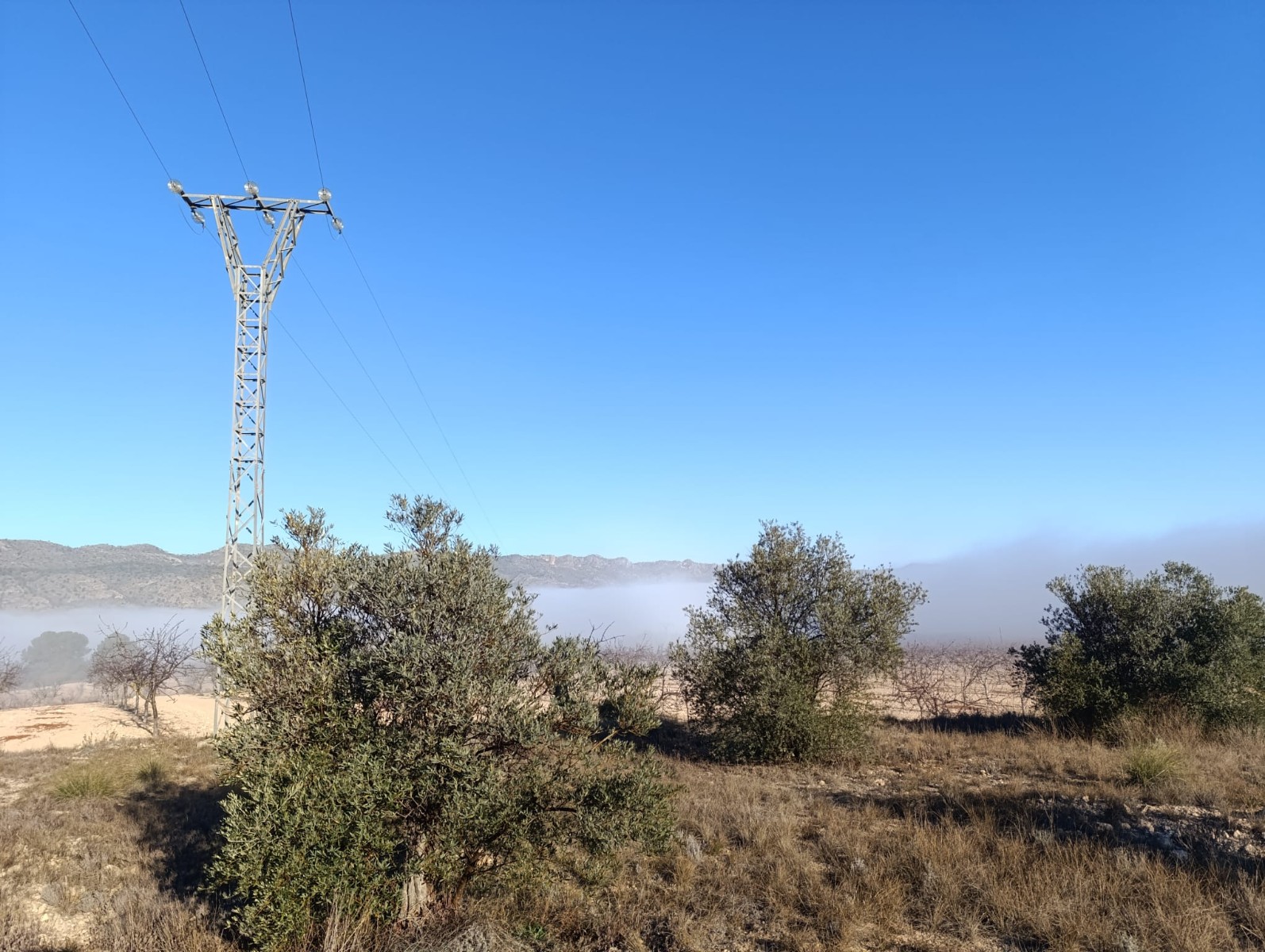 This expansive 9,197m² plot is located in the stunning La Sierra del Carche area, offering breathtak