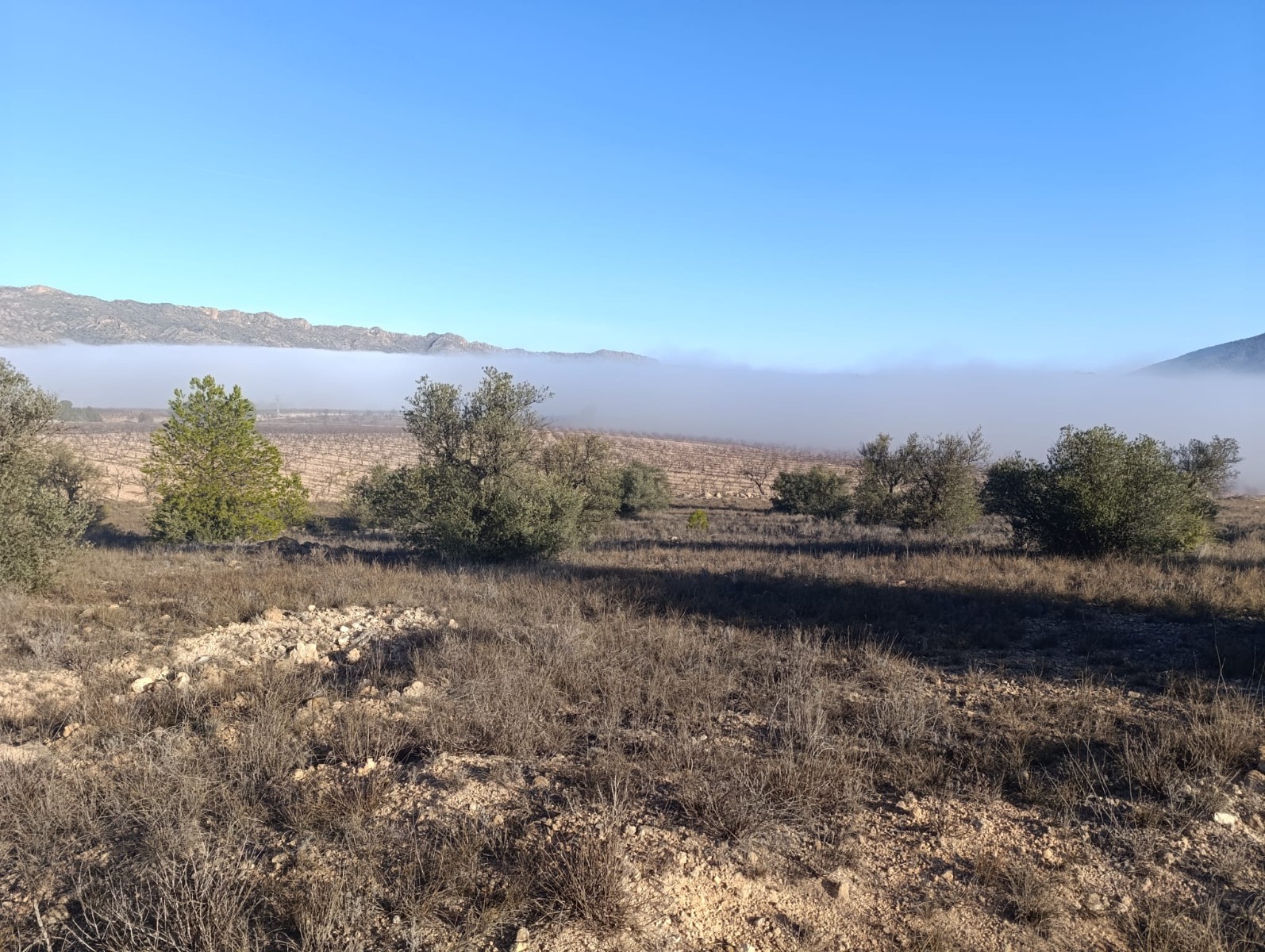 This expansive 9,197m² plot is located in the stunning La Sierra del Carche area, offering breathtak