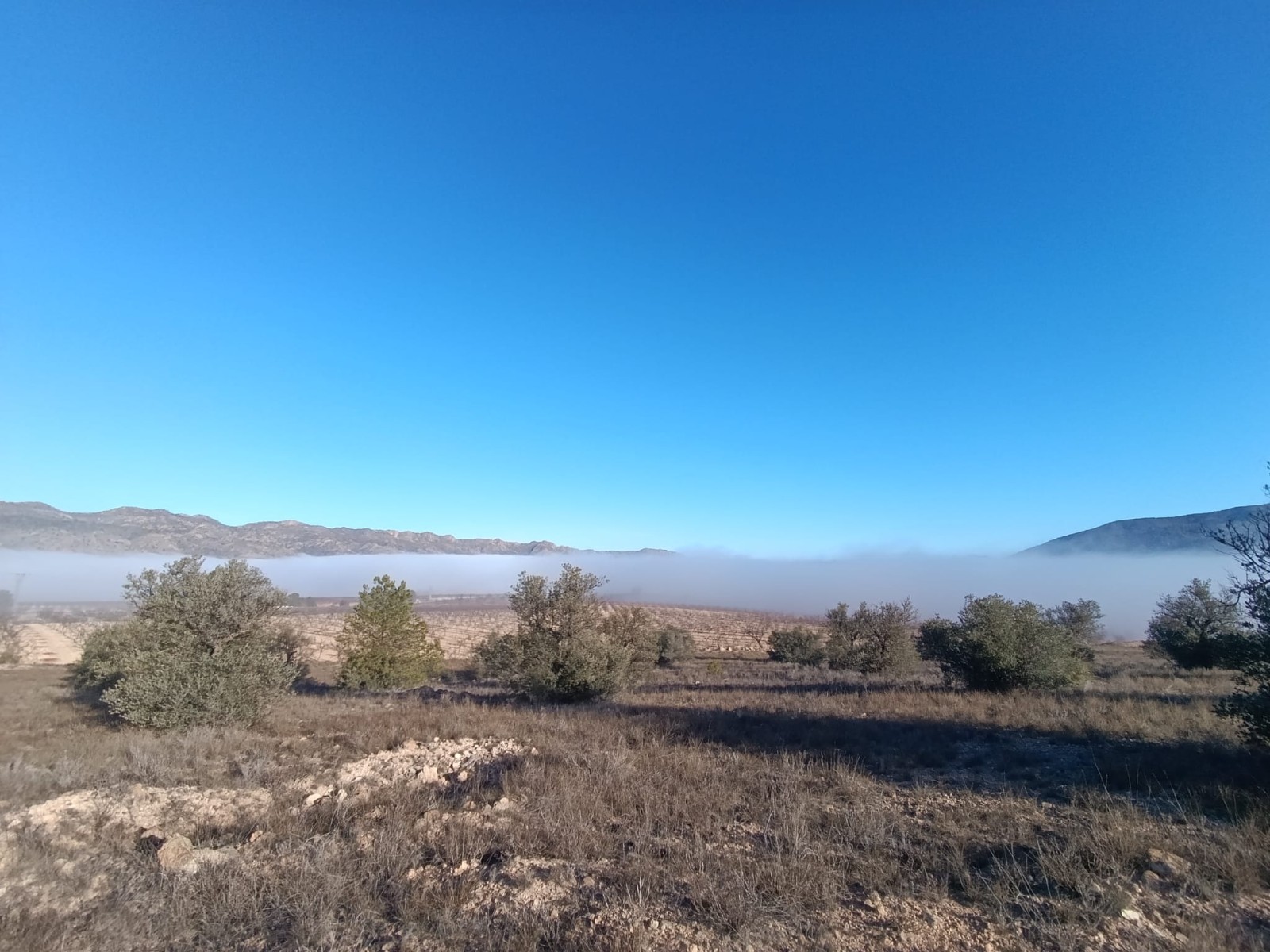 This expansive 9,197m² plot is located in the stunning La Sierra del Carche area, offering breathtak