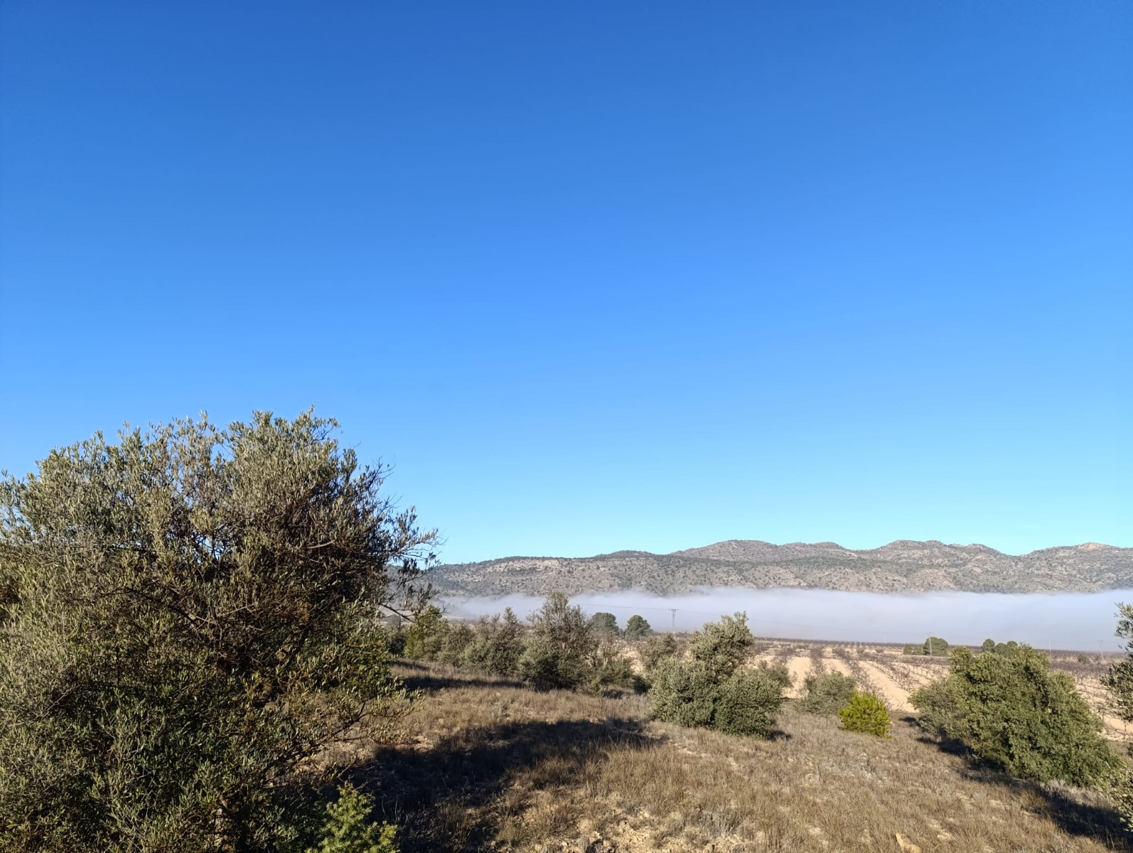 Bedroom in land for sale in Yecla