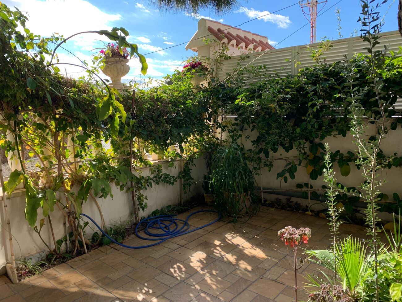 Garden in duplex for sale in La Zenia