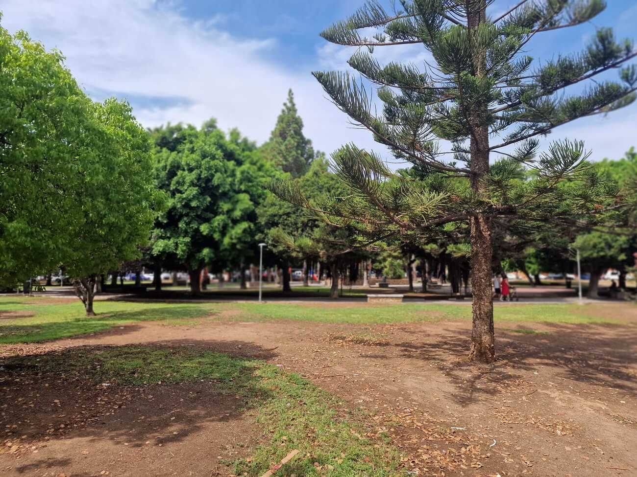 Garden in apartment for sale in Torrevieja