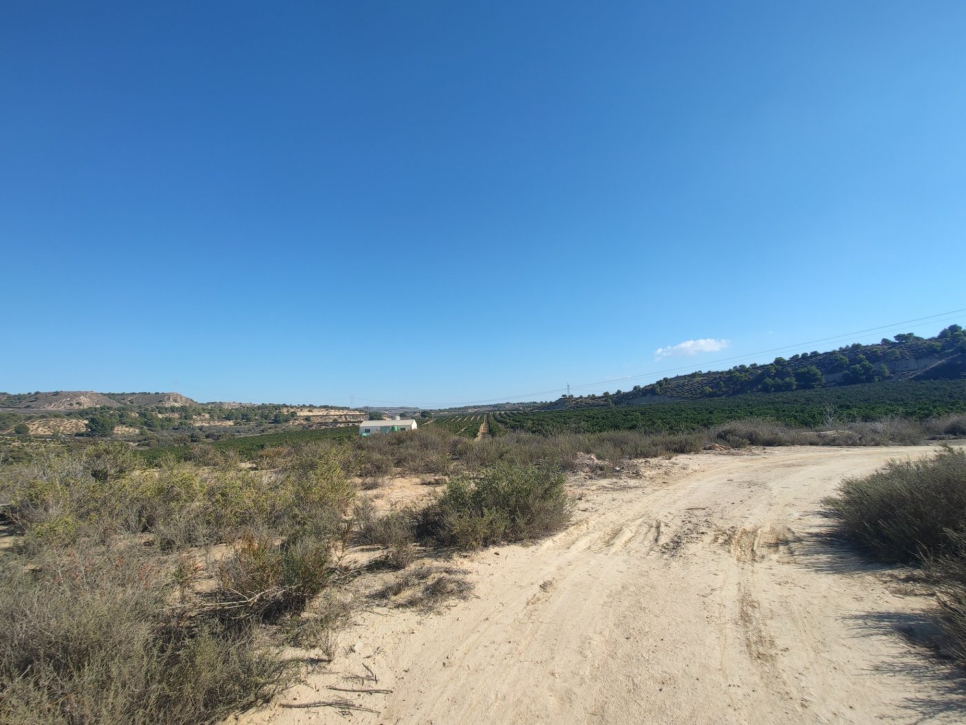 Exclusive Rustic Estate in Torremendo: An Oasis of Opportunities This impressive 298,000 square mete