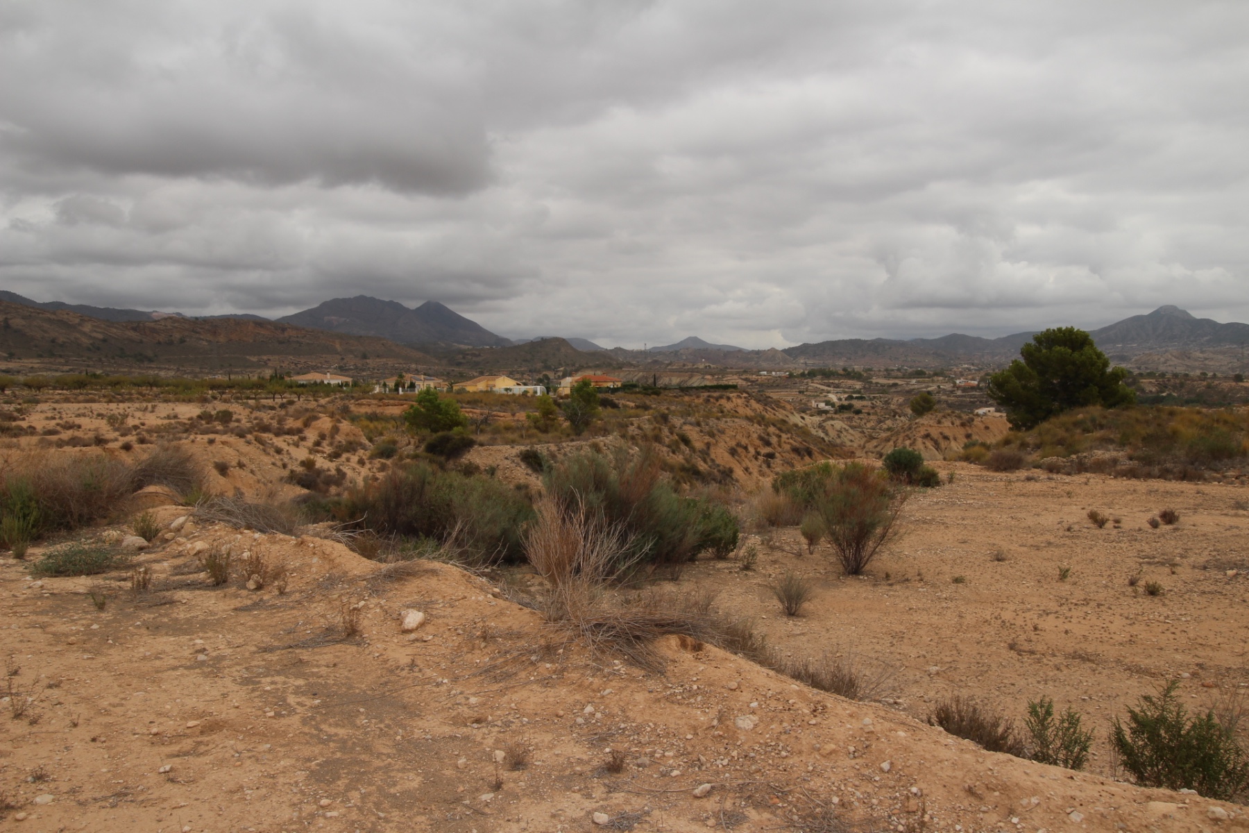 Terrace in land for sale in Abanilla