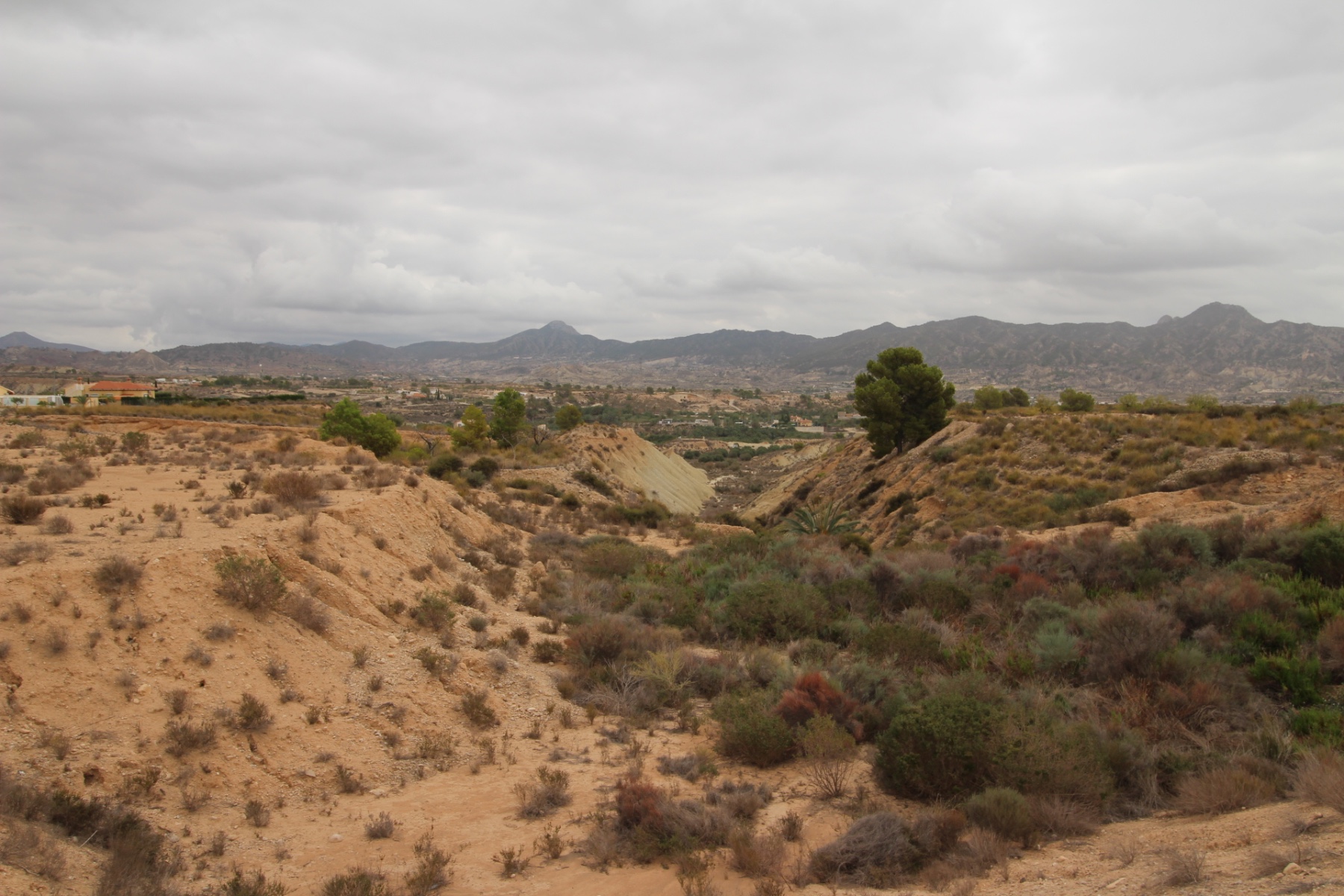 Garden in land for sale in Abanilla