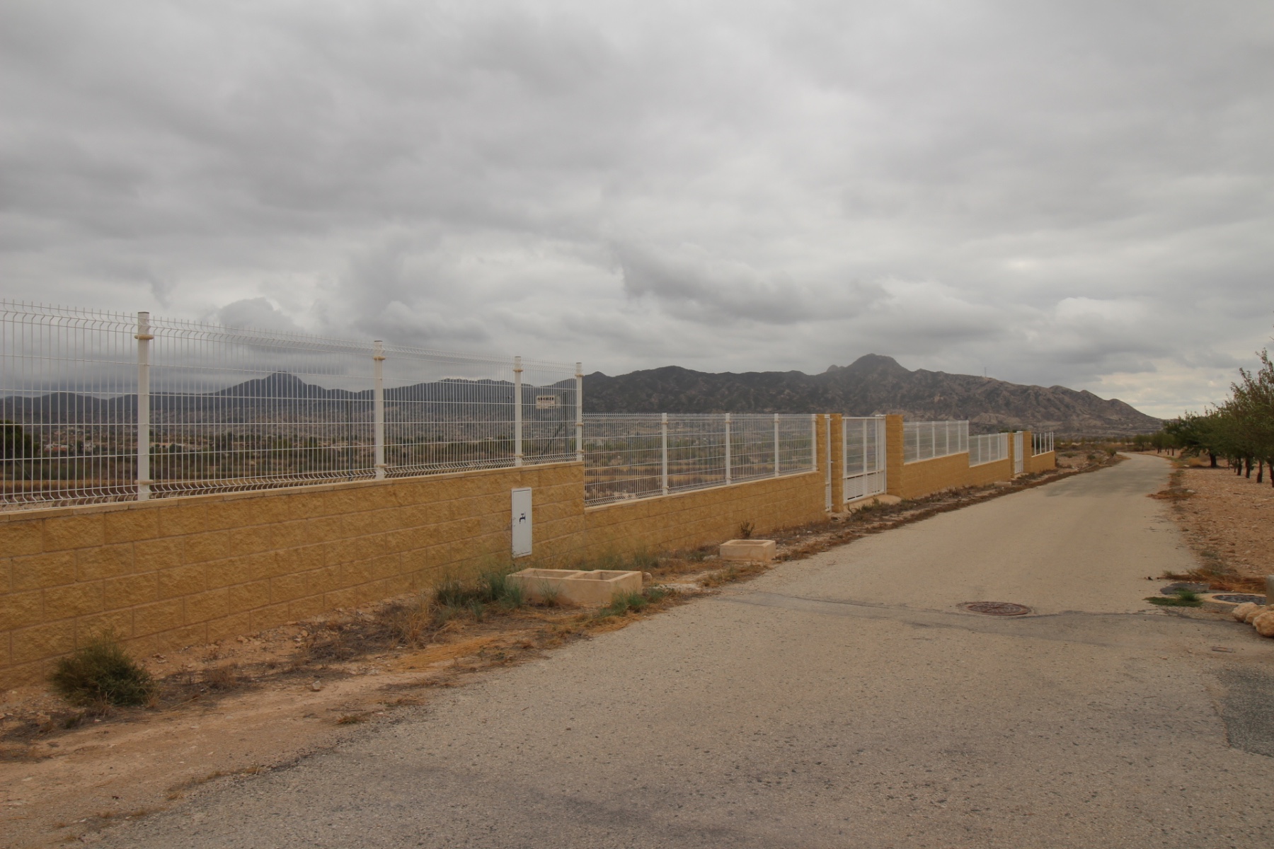 Terrace in land for sale in Abanilla