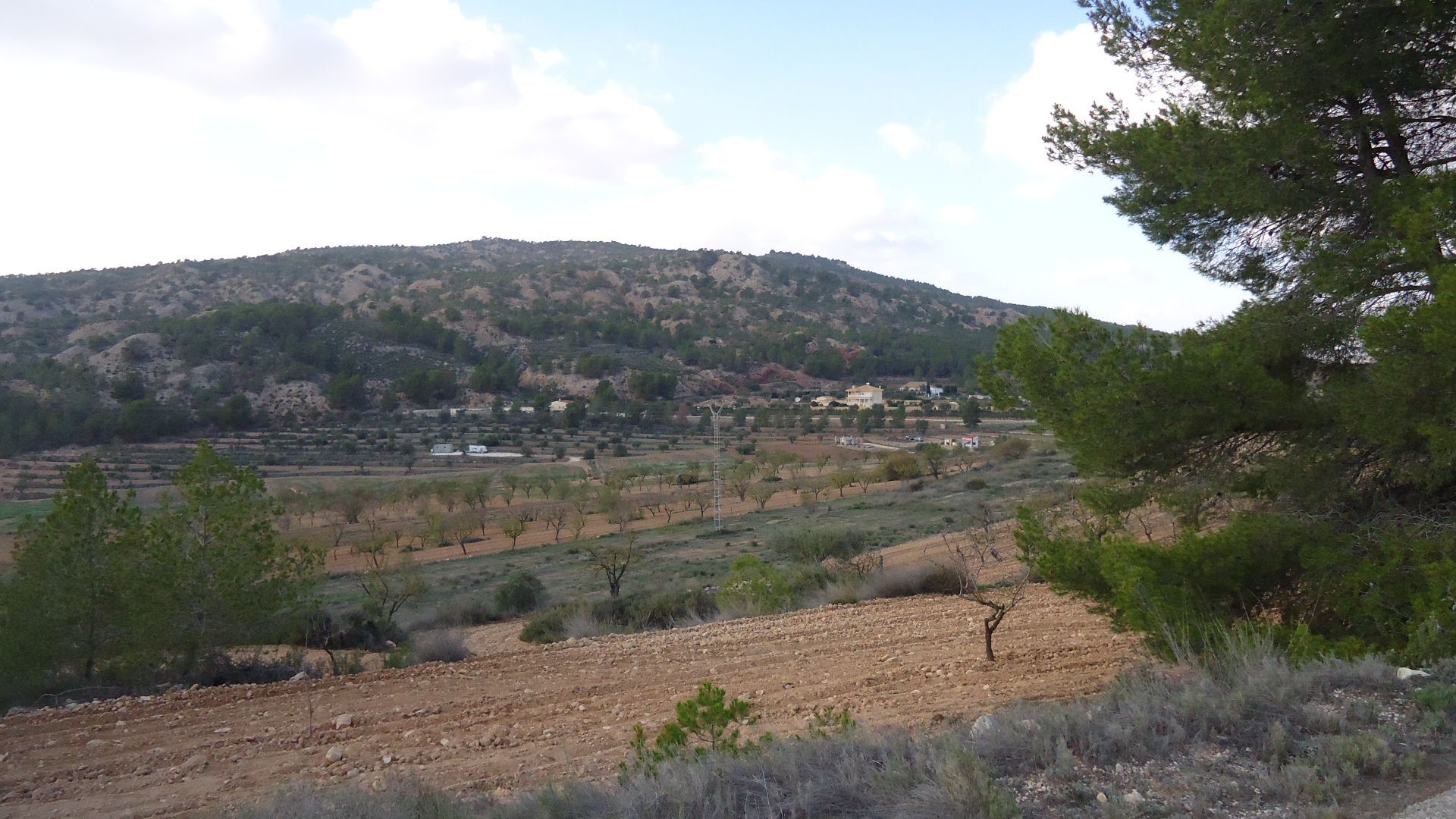 Rustic Plot of 14,778 m² with Mountain Views in Pinoso, AlicanteDiscover this rustic plot of 14,778