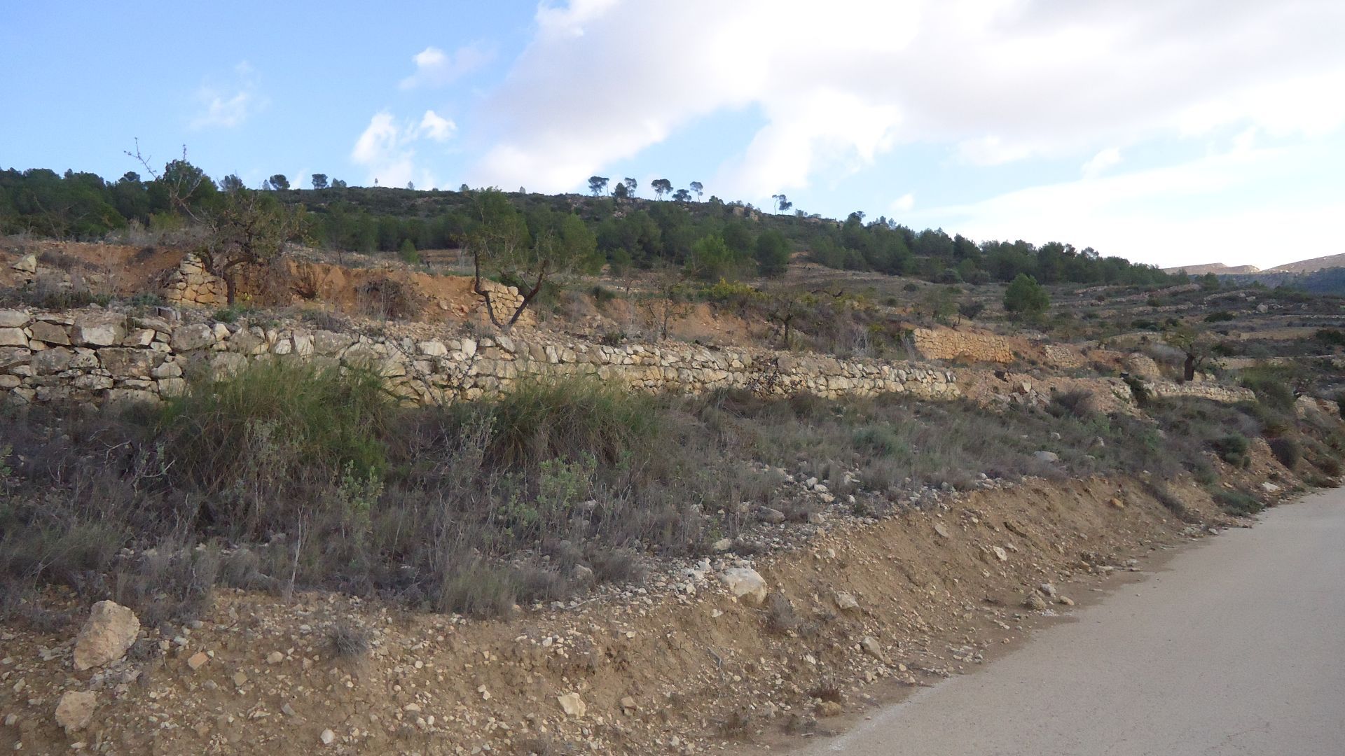 Rustic Plot of 14,778 m² with Mountain Views in Pinoso, AlicanteDiscover this rustic plot of 14,778