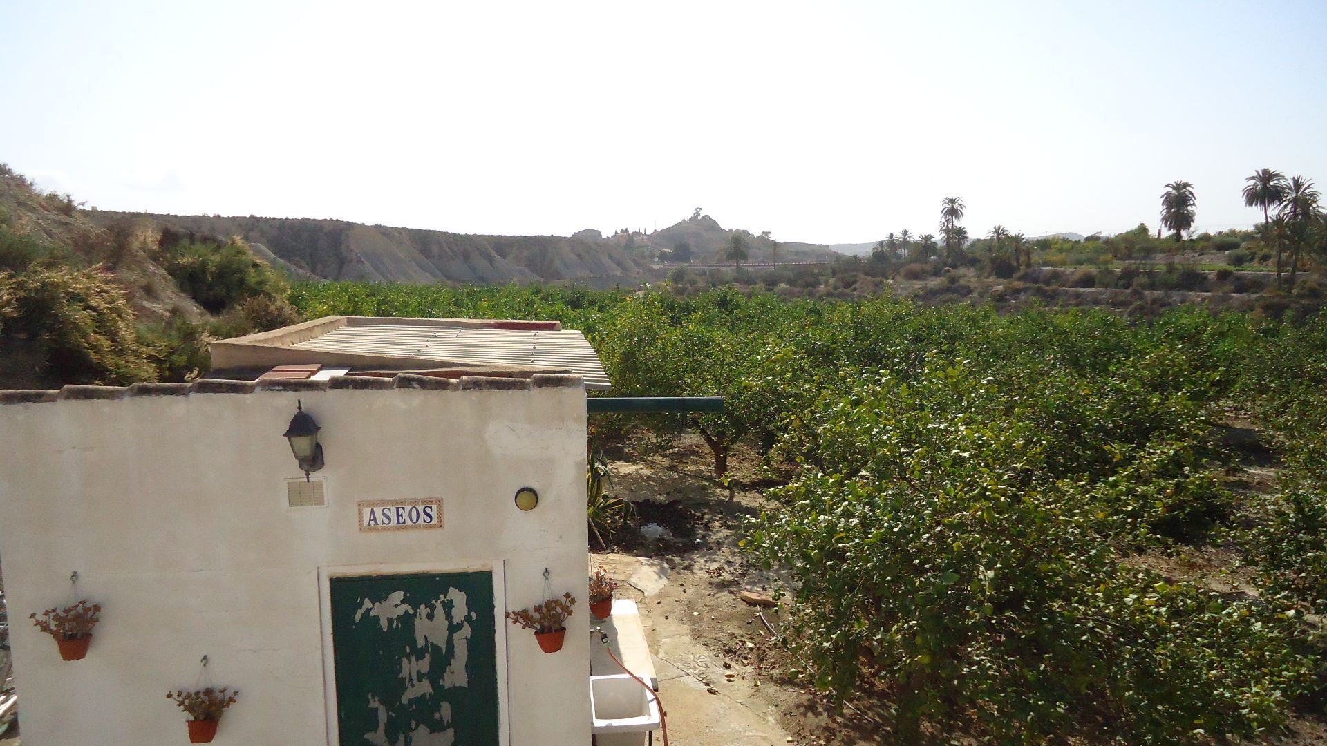 Kitchen in villa for sale in Abanilla