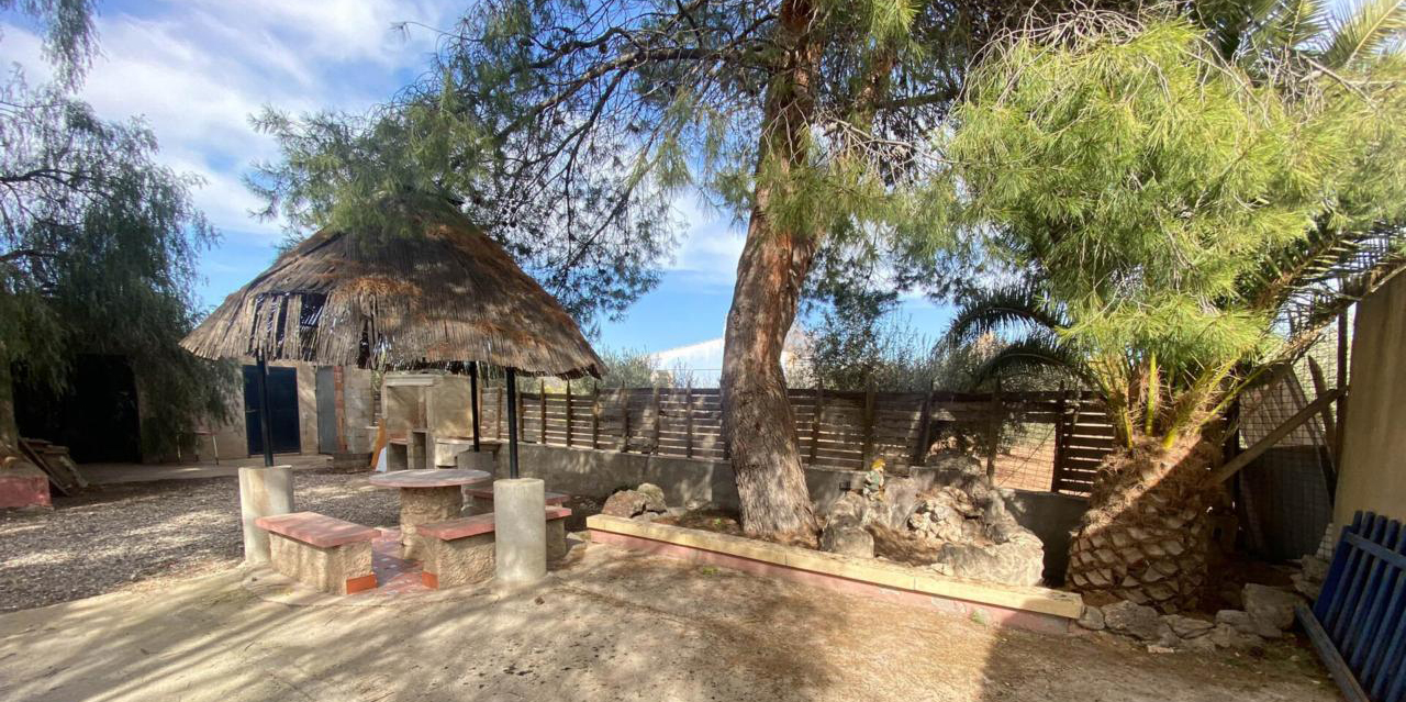 Exterior view in villa for sale in Jumilla